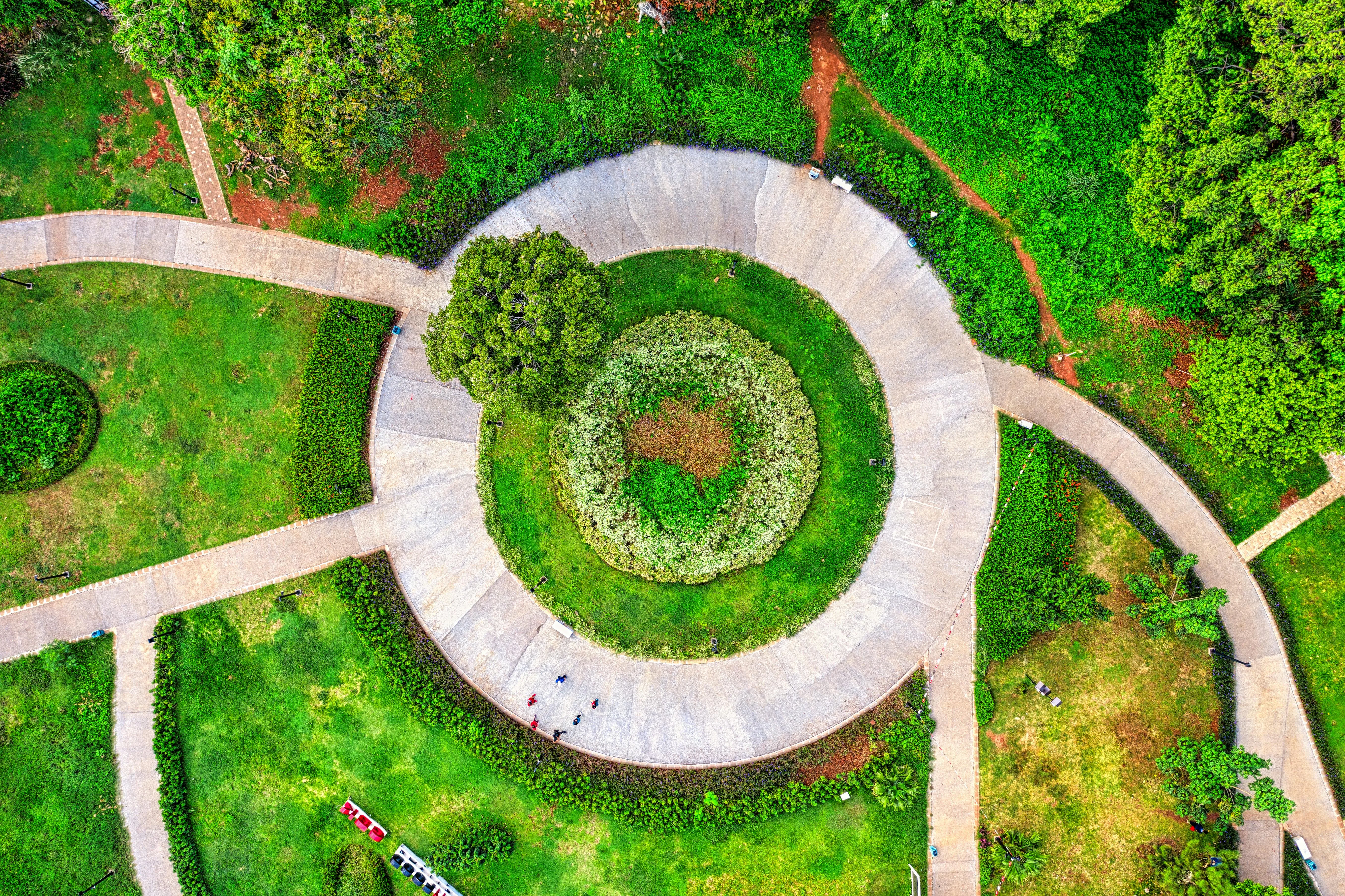 Up Close with Nature: Jakarta's Premier Gardens and Parks for Families