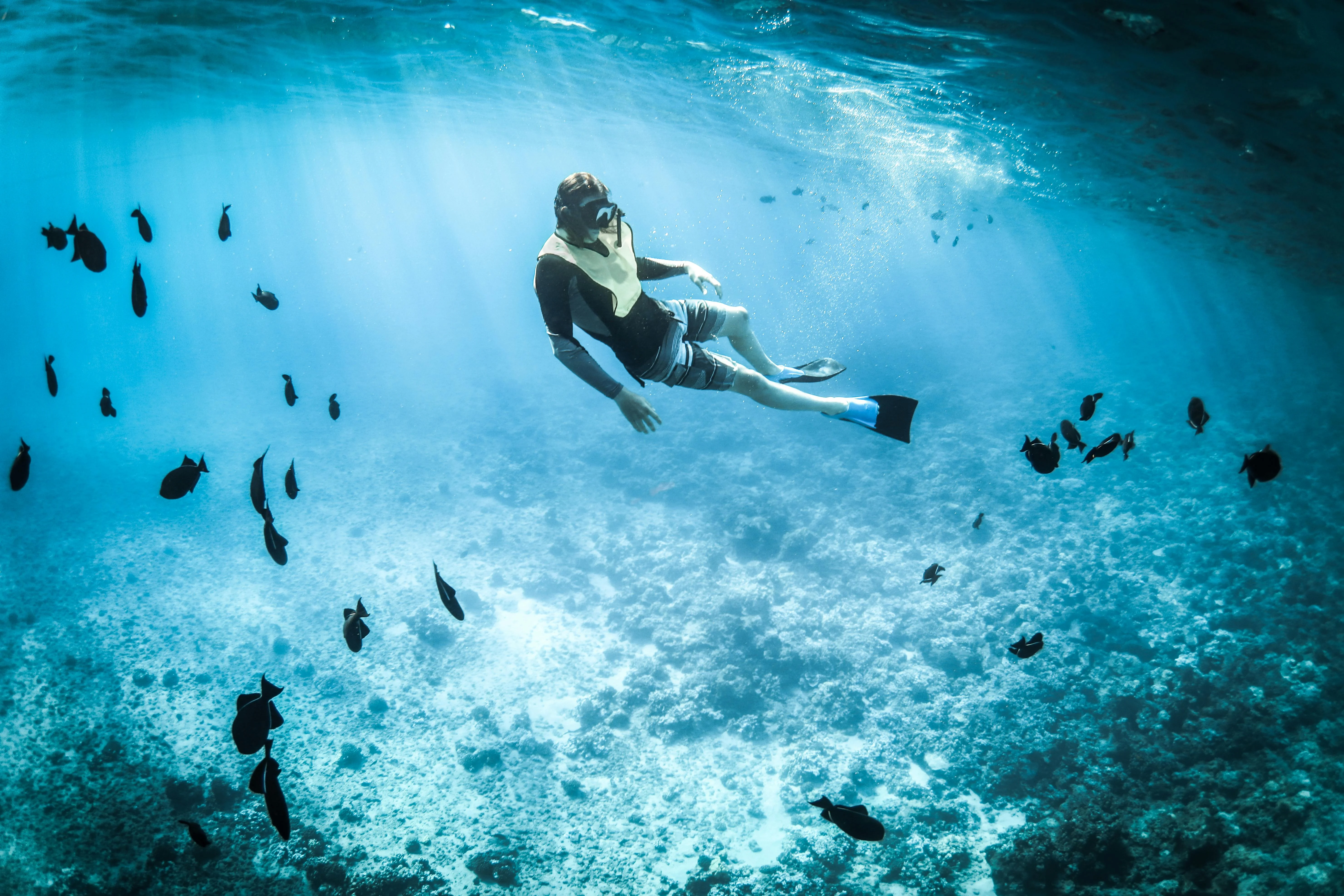 Underwater Elysium: Diving and Snorkeling Spots in Hiroshima's Aquatic Realm Image 1