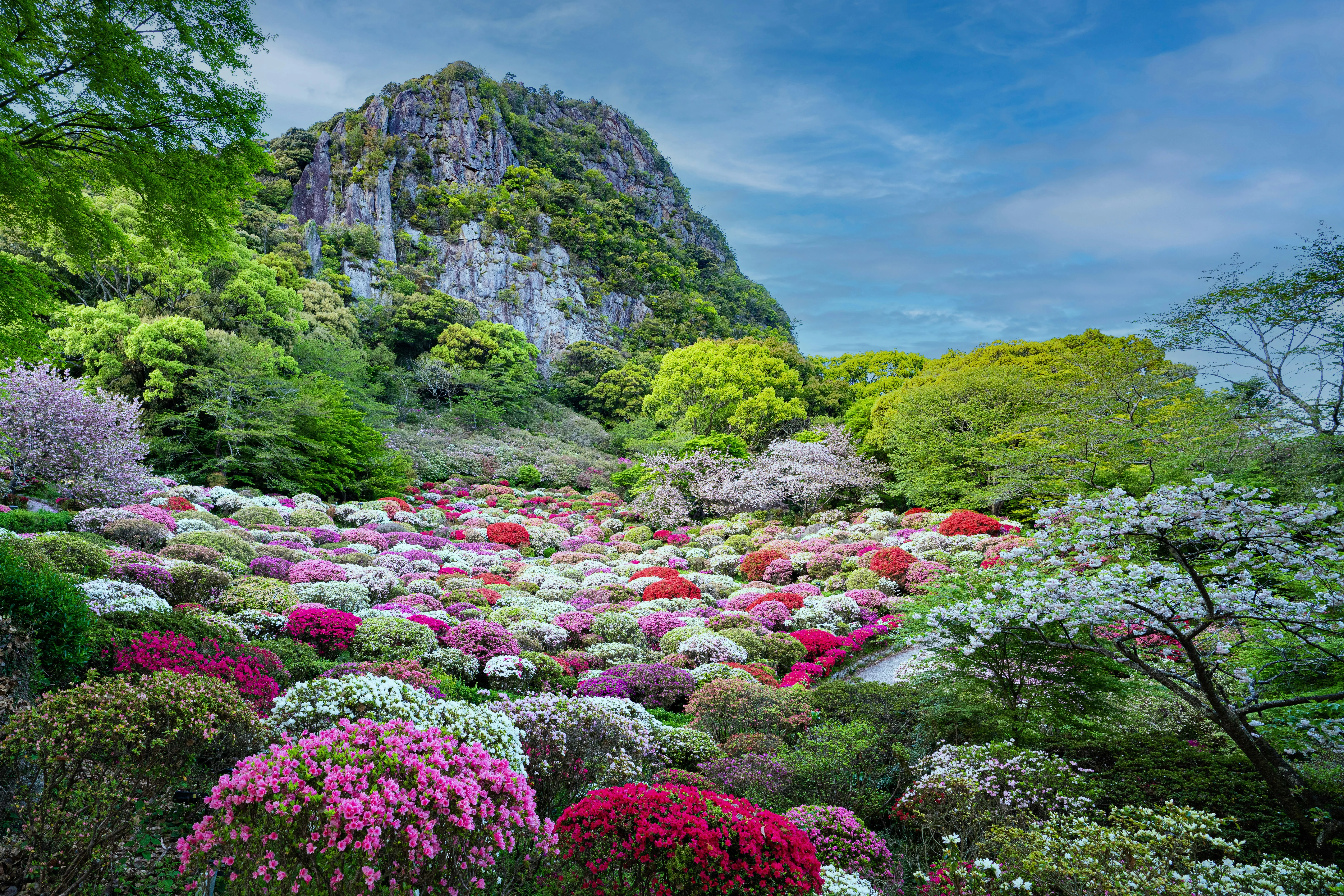 Festival Flora: Celebrating Okinawa's Blooms at These Unique Events Image 3