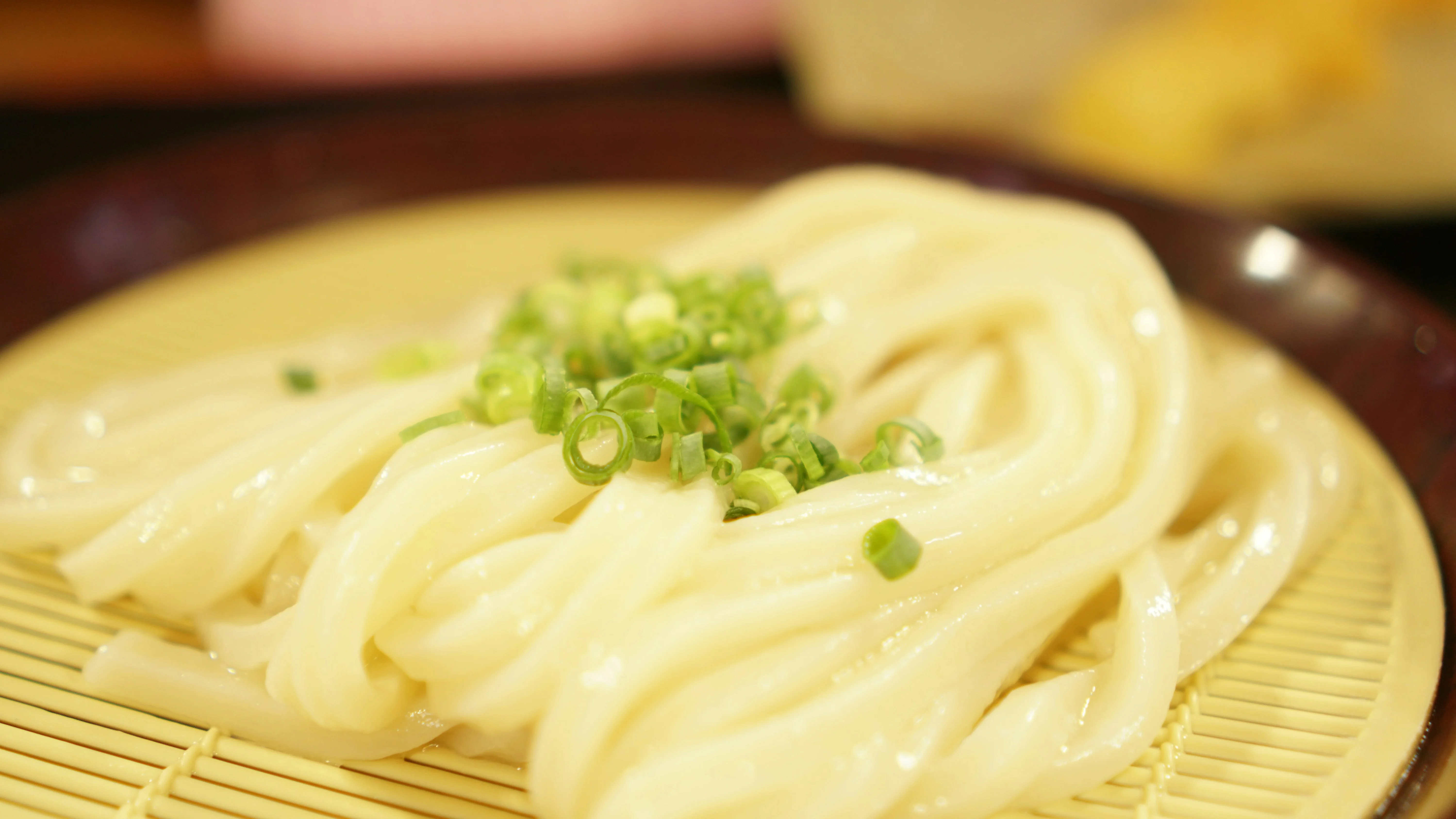 Nostalgic Noodles: A Budget Guide to Tottori's Shiitake Udon