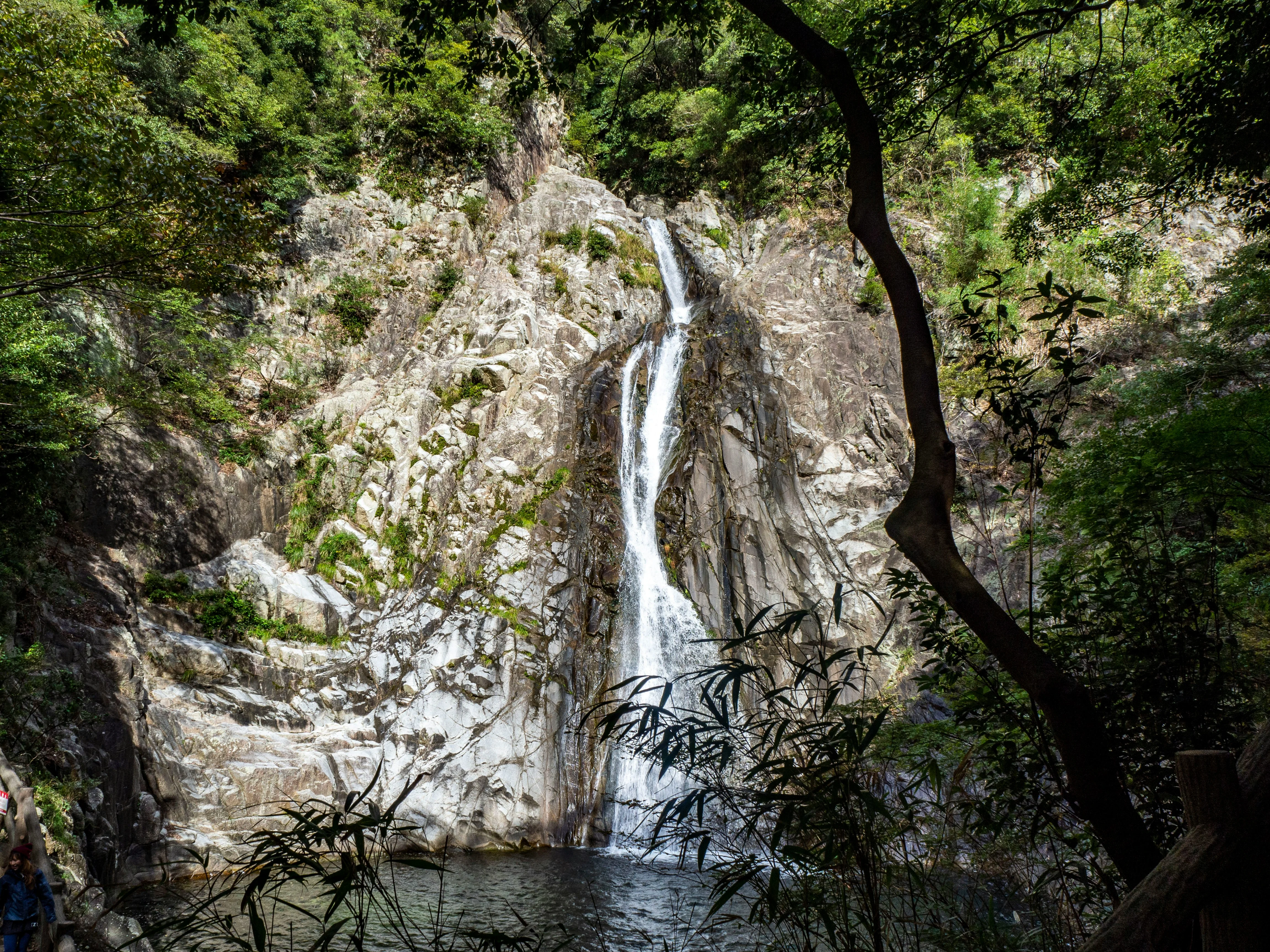 Tranquil Escapades: Luxury Spa Experiences Amidst Kobe's Natural Beauty