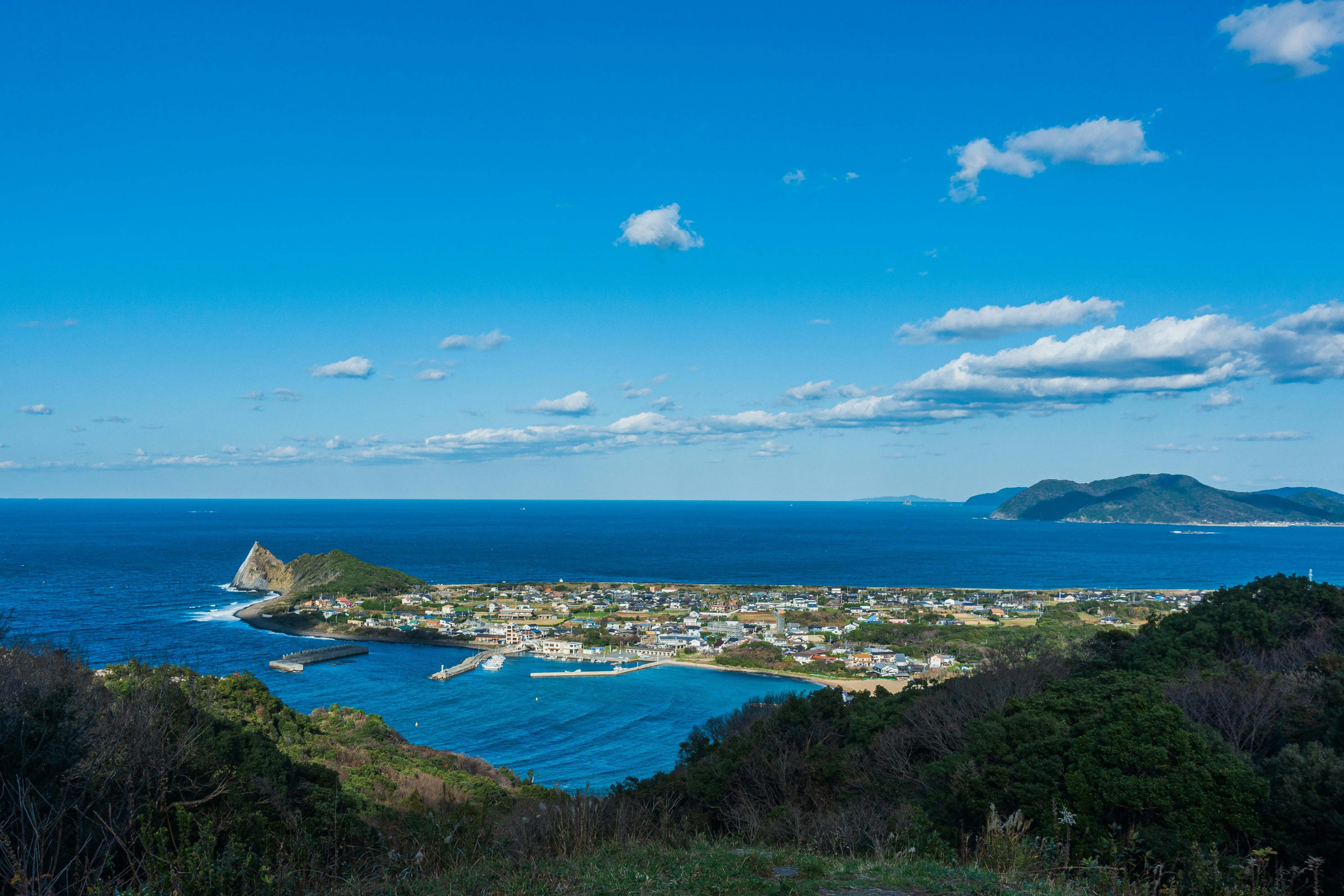 Whale Watching with a Twist: Linguistic Narratives on Fukuoka's Coastal Waters Image 1