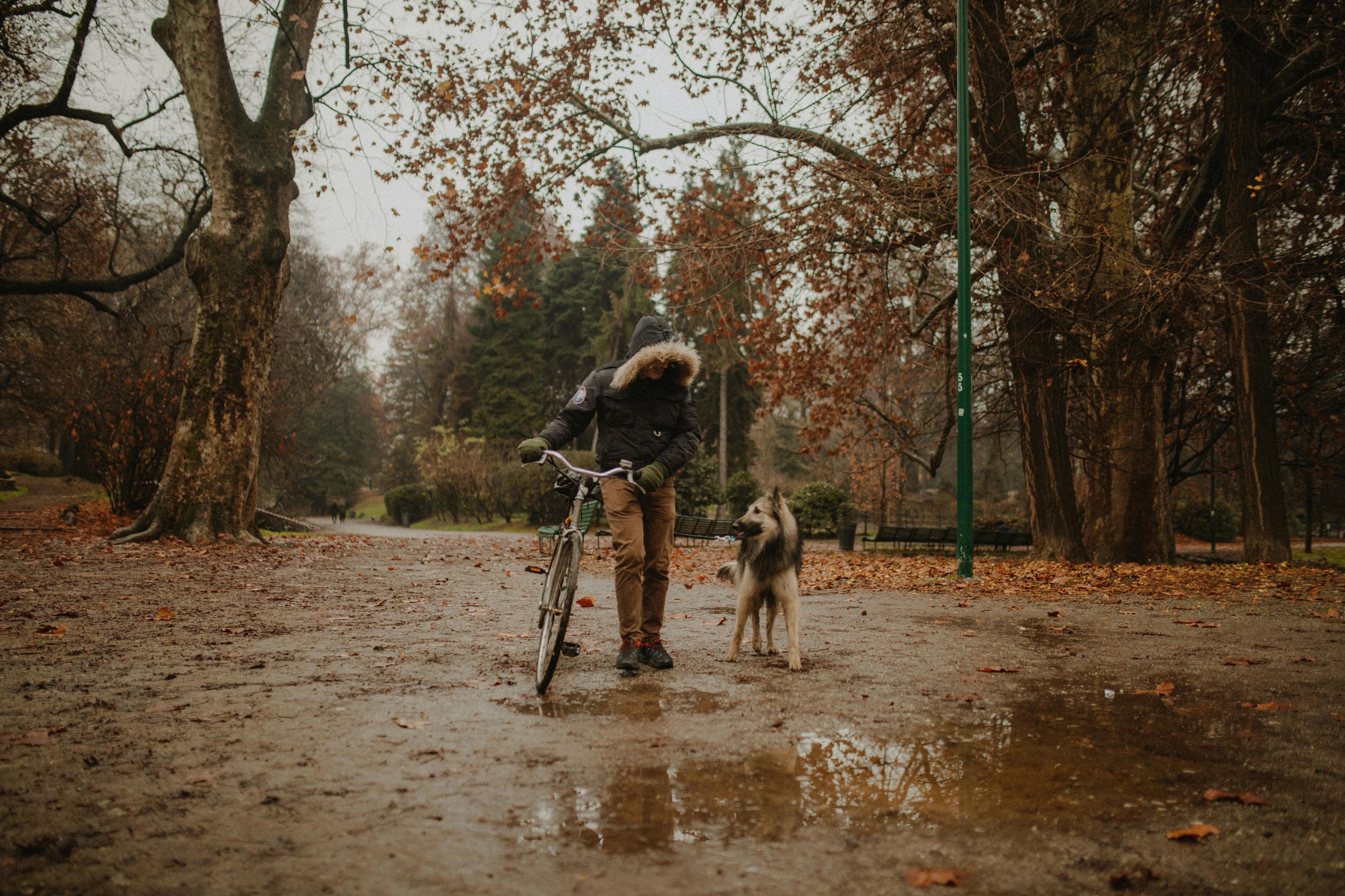 Biking into Romance: The Most Scenic Couple's Routes in and Around Milan Image 3