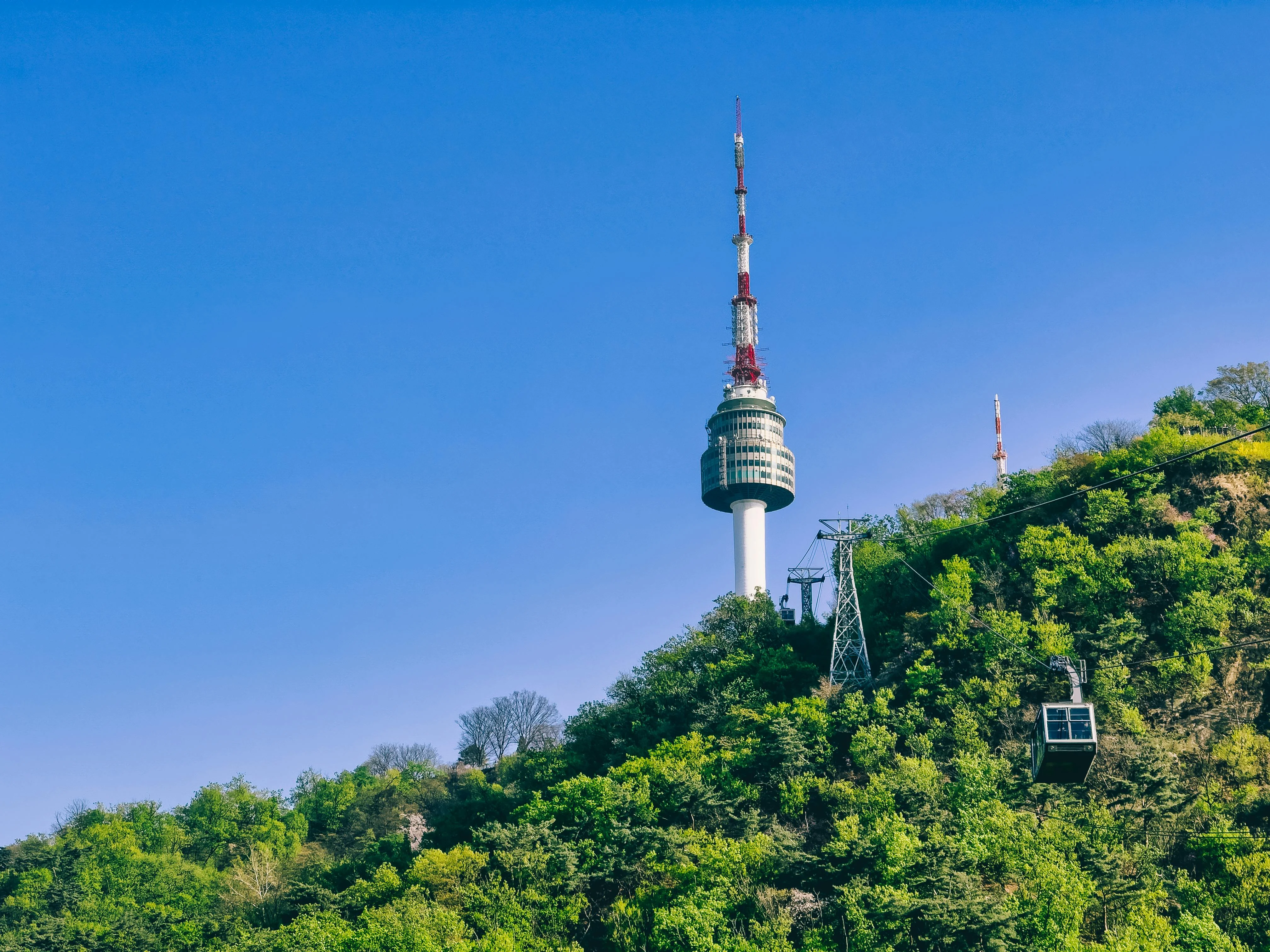 Eco-Aware Snapshots: Exploring Seoul's Green Wonders through Your Lens Image 1