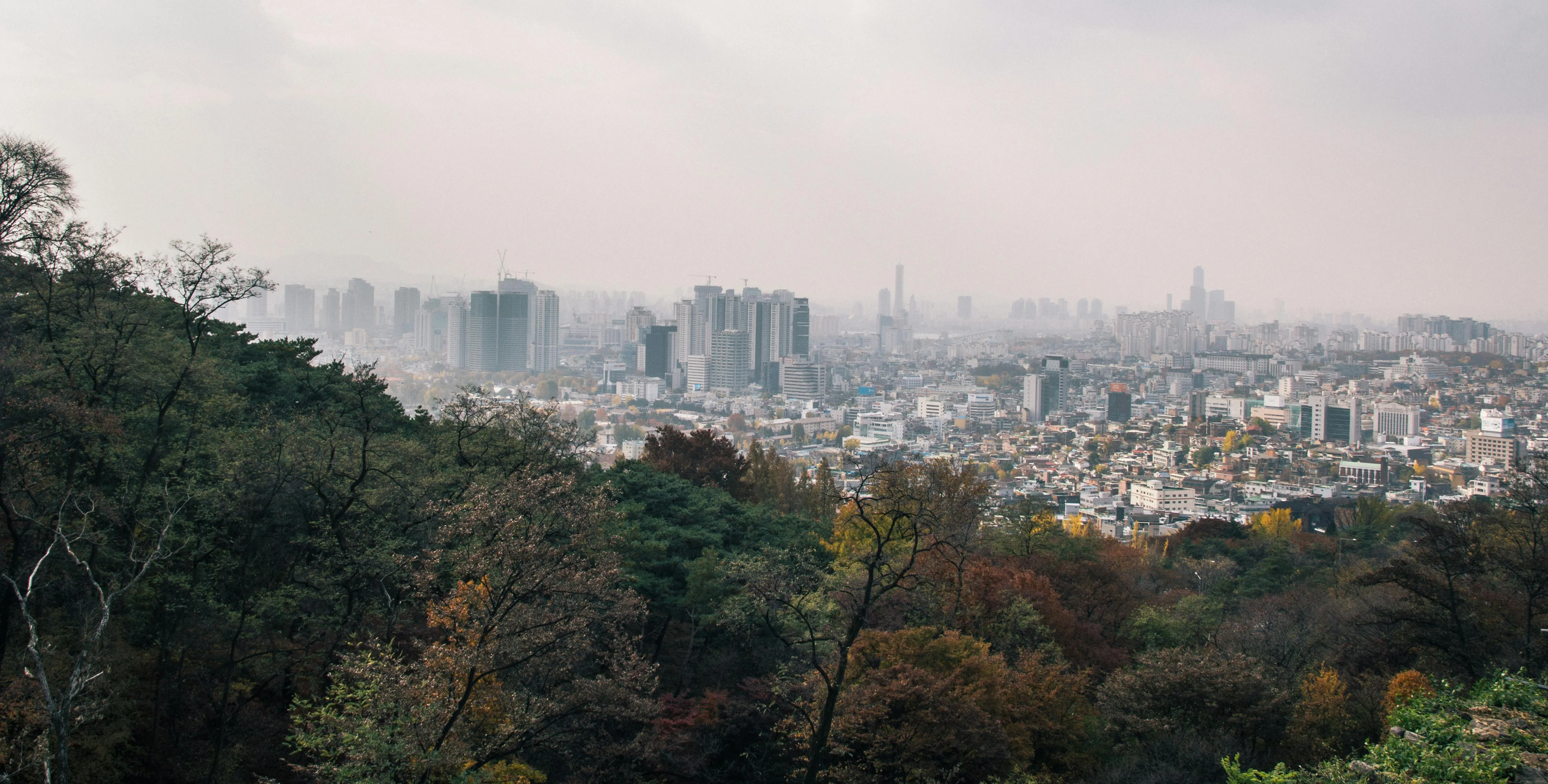 Eco-Aware Snapshots: Exploring Seoul's Green Wonders through Your Lens