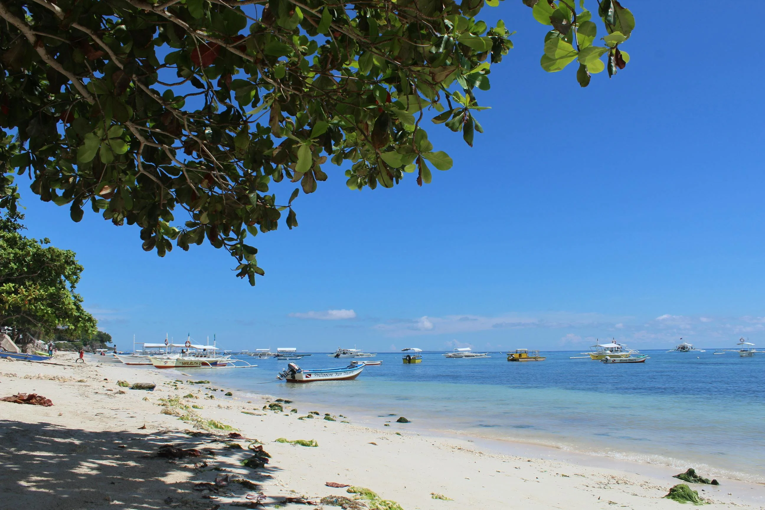 Earth-Friendly Escapades: The Rise of Green Tourism in Bohol