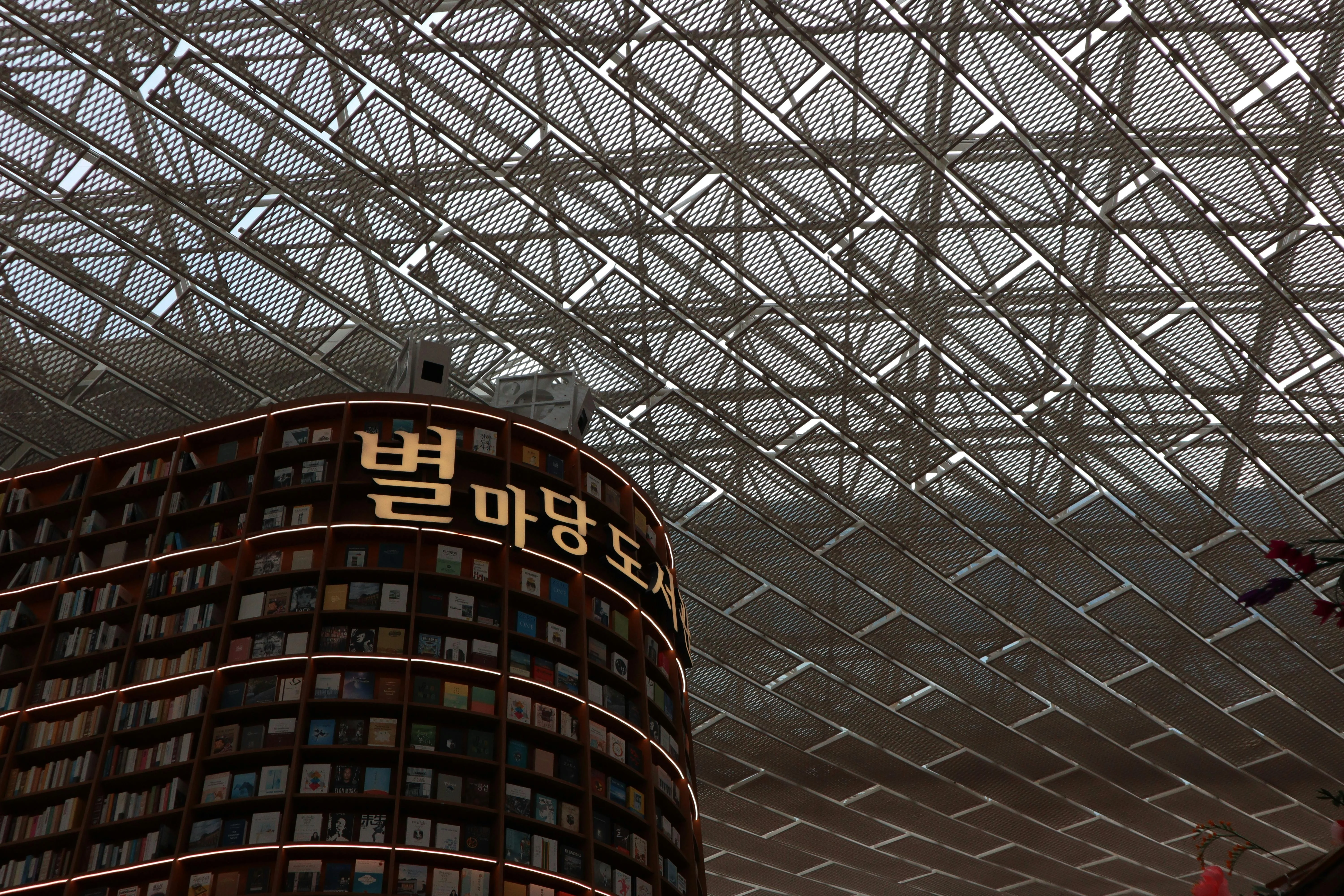 Opulent Gangnam: Architectural Wonders and Pet-Friendly Exploration Image 1