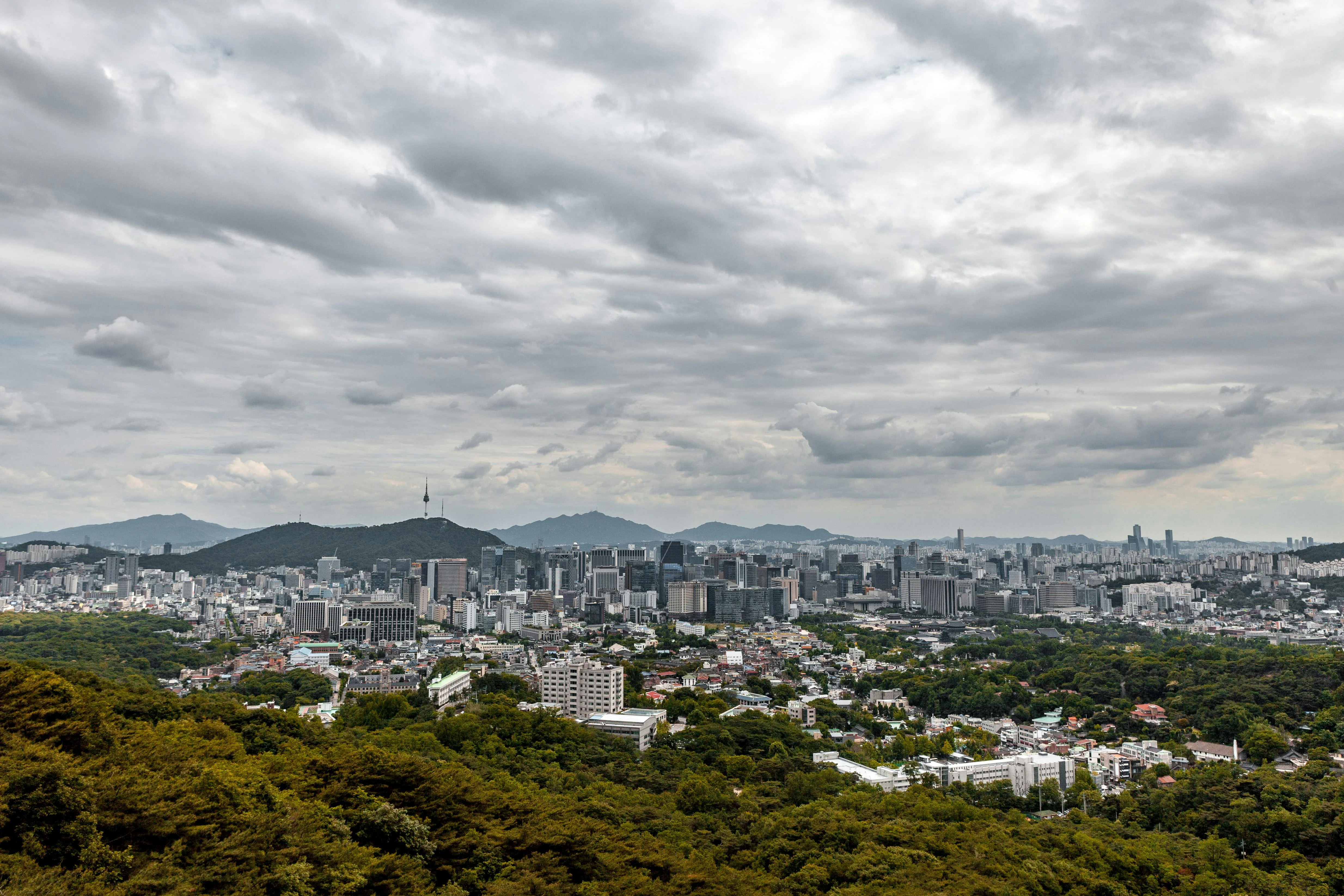 Opulent Gangnam: Architectural Wonders and Pet-Friendly Exploration