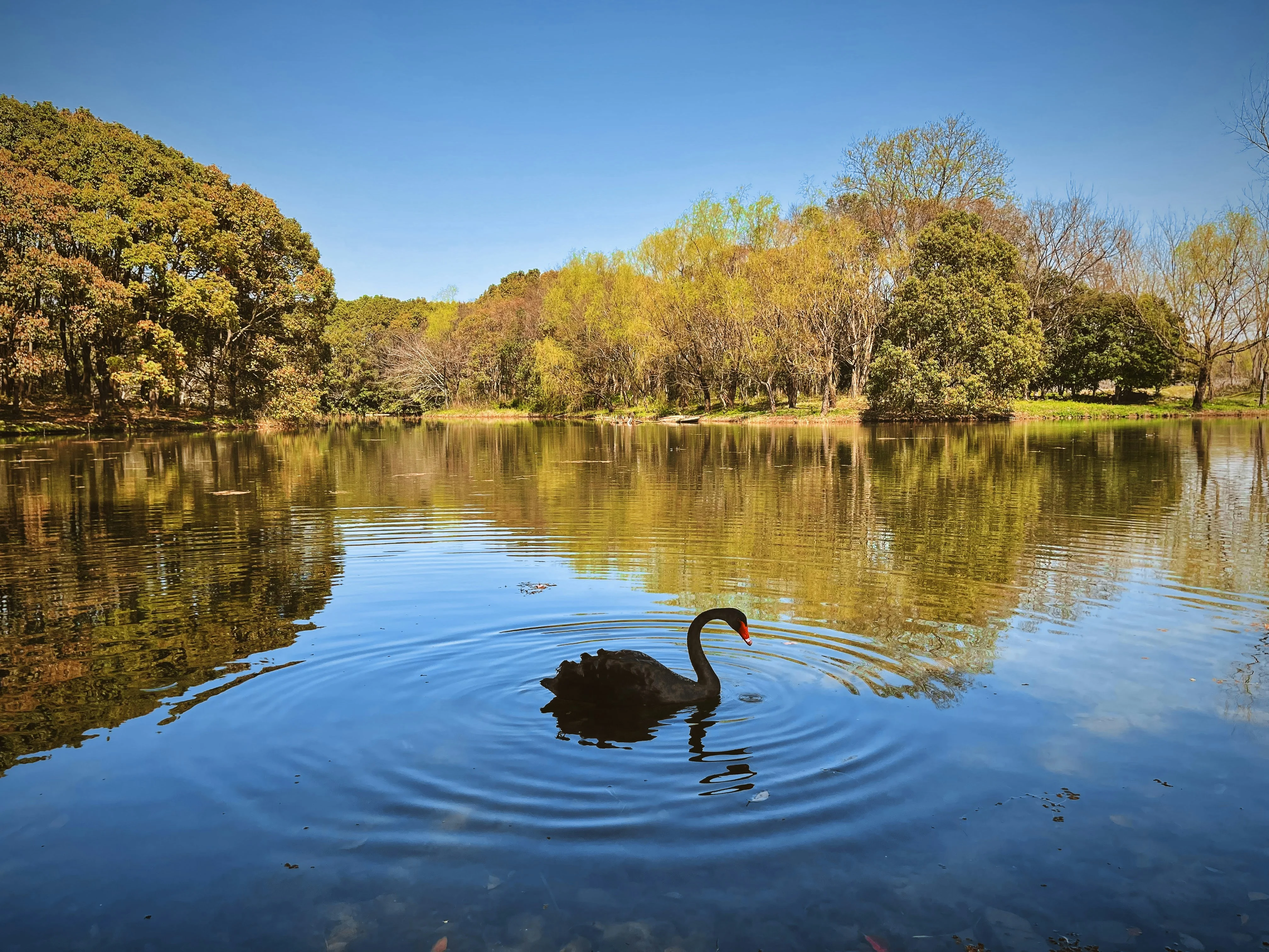 From the Modern to the Mystical: Unseen Natural Wonders of Shanghai Image 1