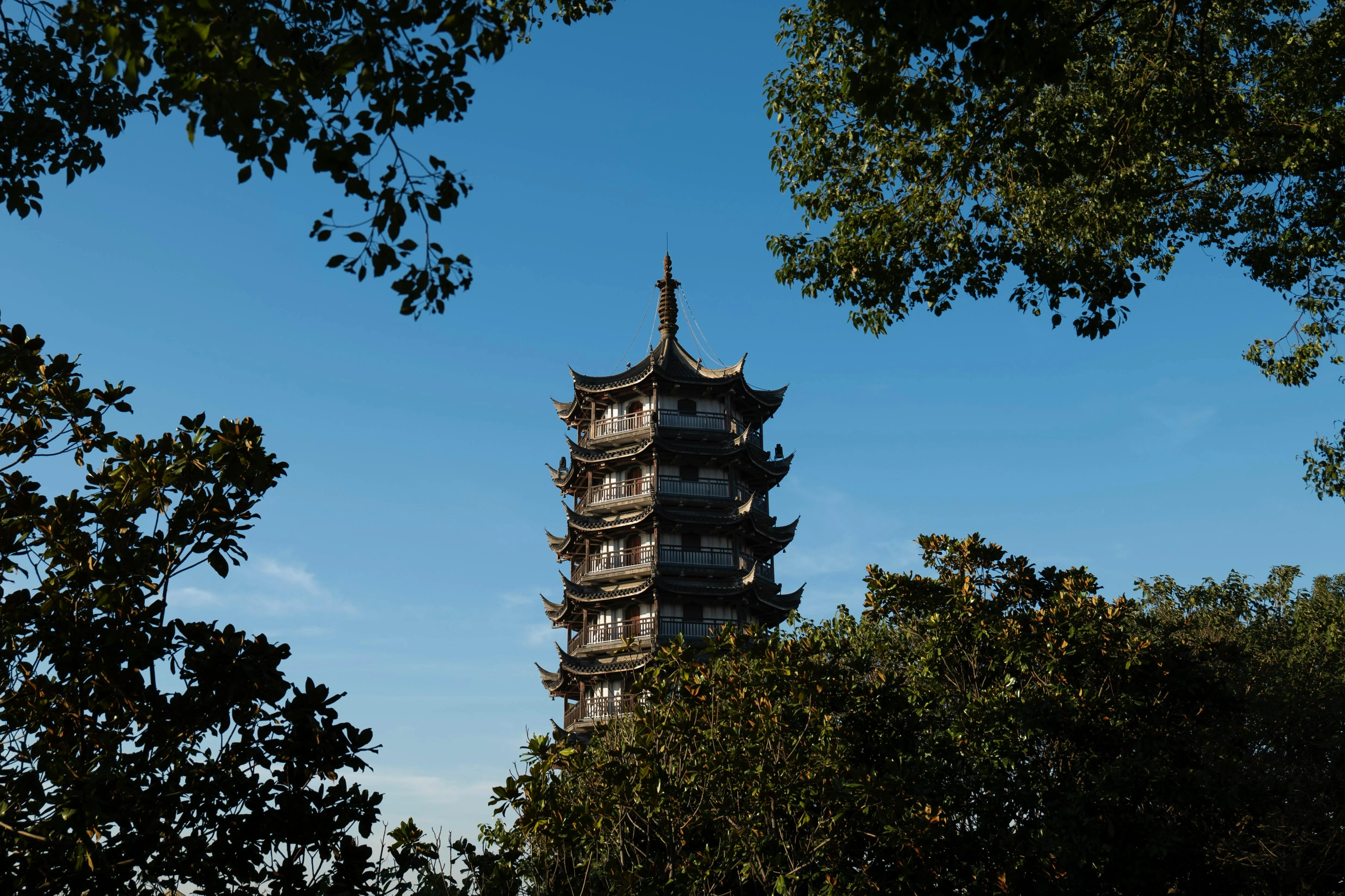 From the Modern to the Mystical: Unseen Natural Wonders of Shanghai Image 2