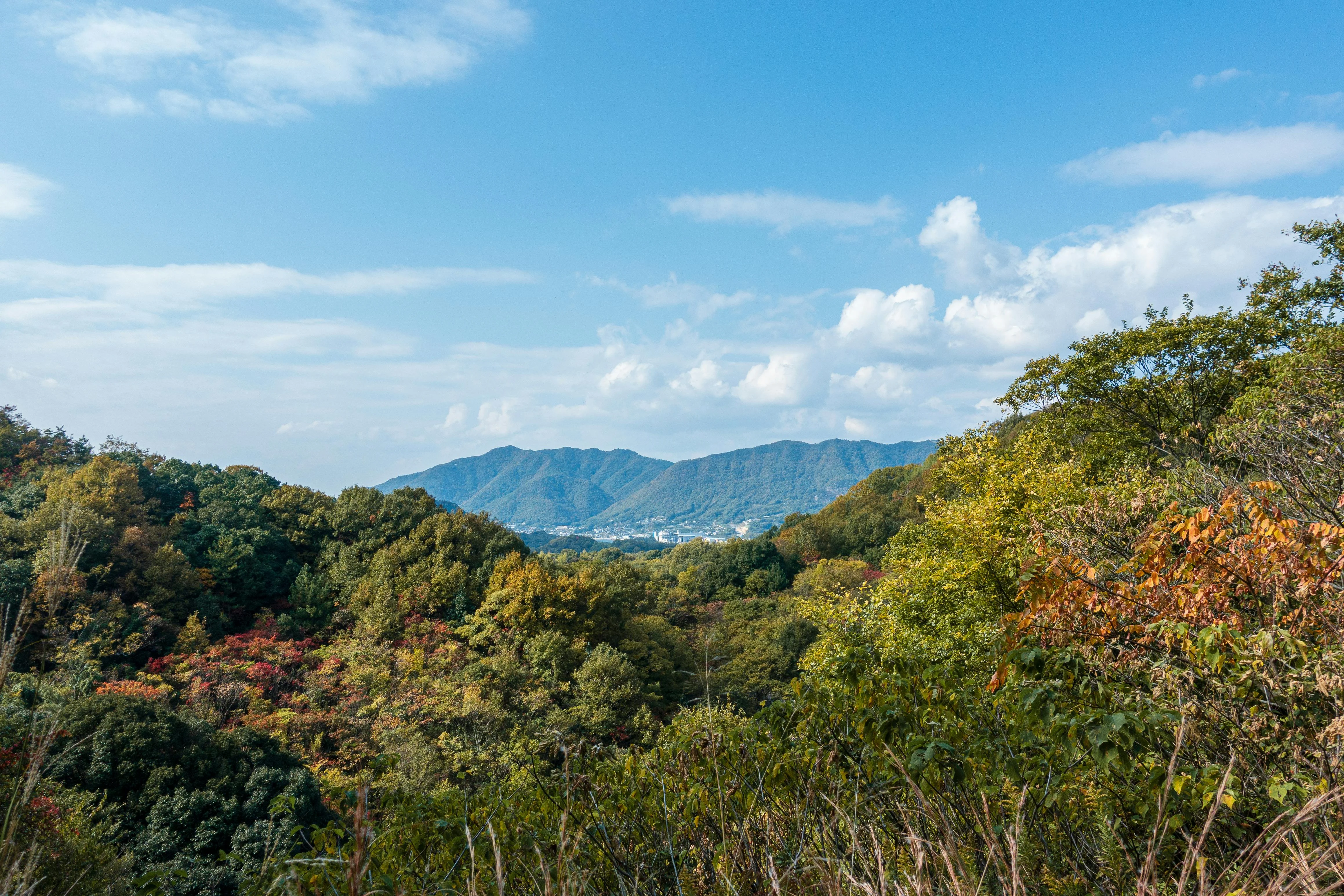 Where the Mountains Call: Hiking Paths Less Traveled by in Hiroshima Image 2