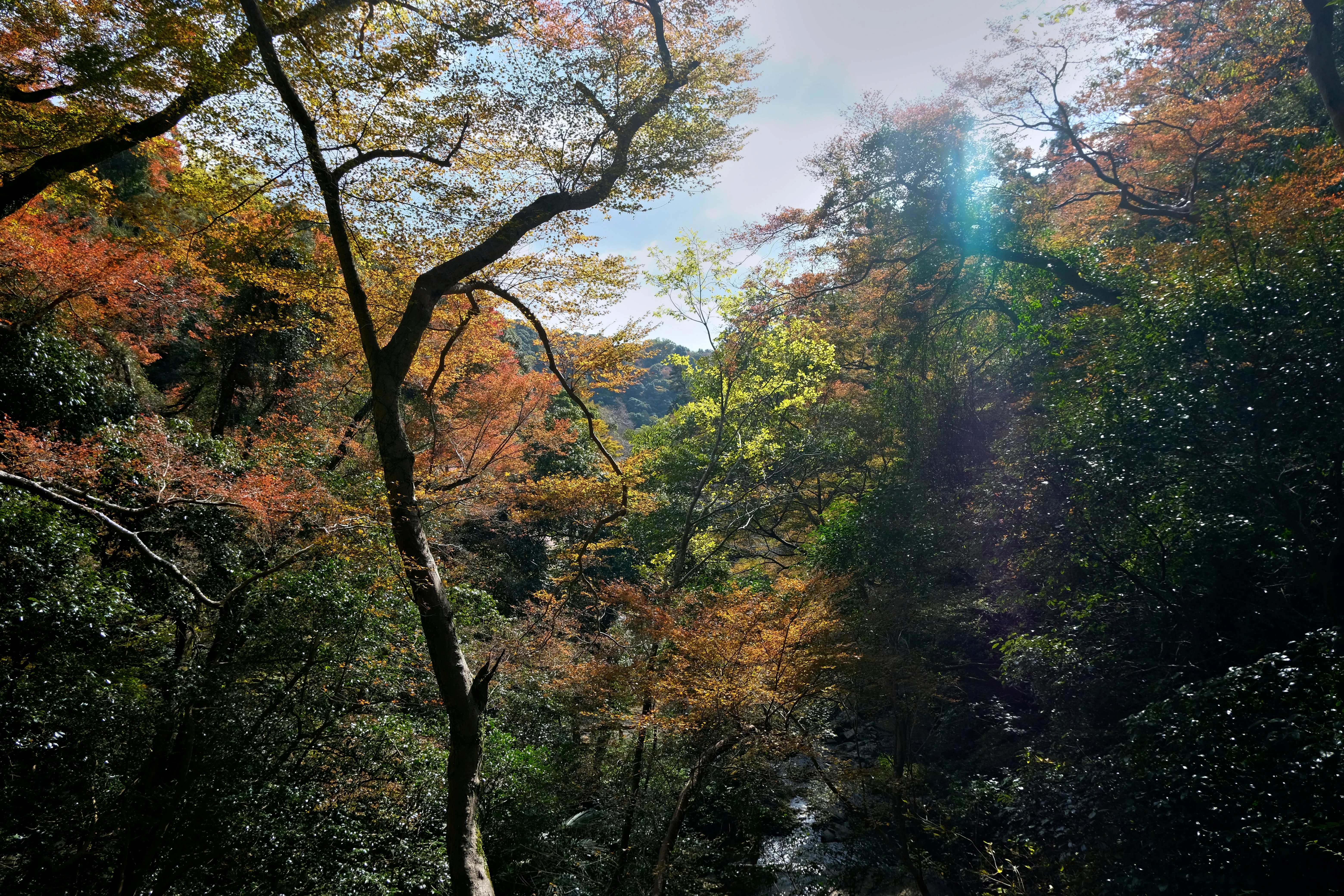 Rock Climbing Adventures in the Scenic Hills of Minoh Image 1