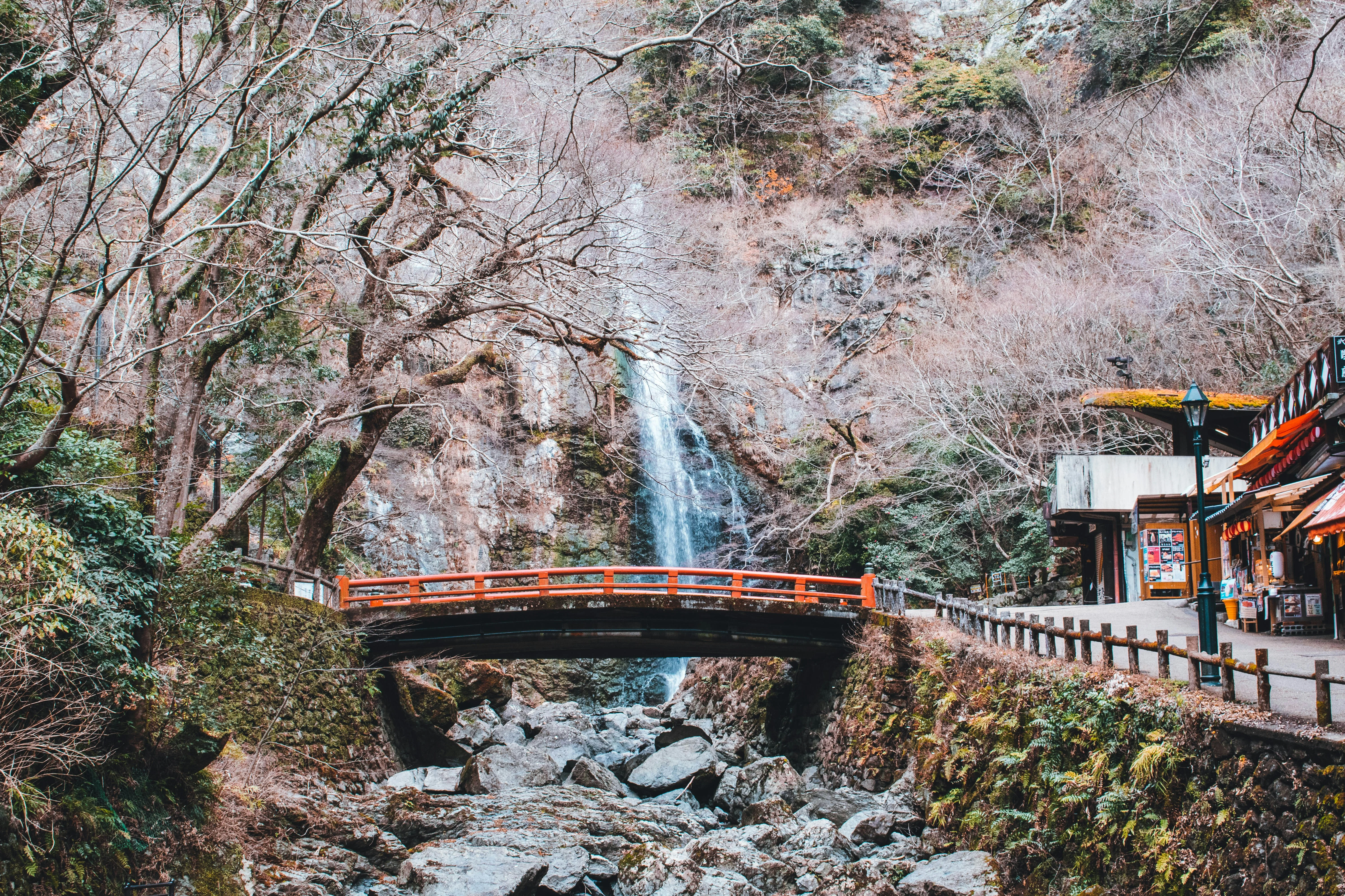 Rock Climbing Adventures in the Scenic Hills of Minoh