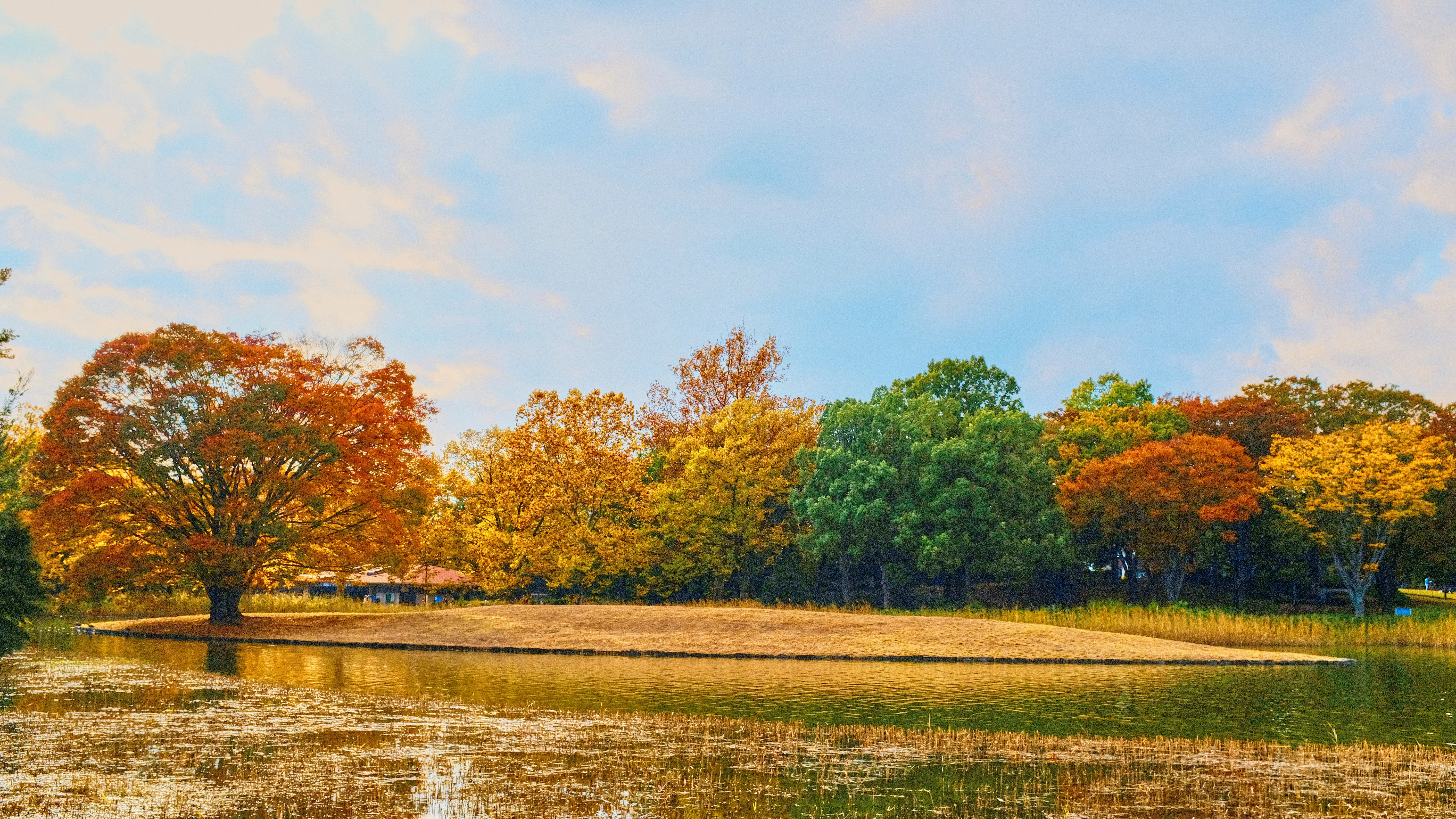 Accessible Outdoor Adventures: Tokyo's Wheelchair-Friendly Hiking Trails Image 1