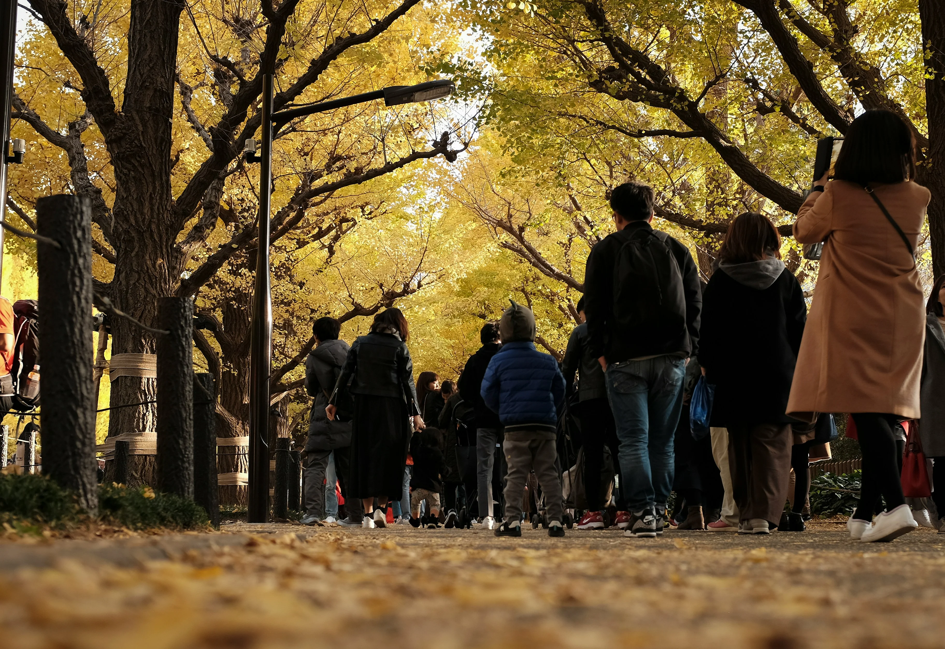 Accessible Outdoor Adventures: Tokyo's Wheelchair-Friendly Hiking Trails Image 2