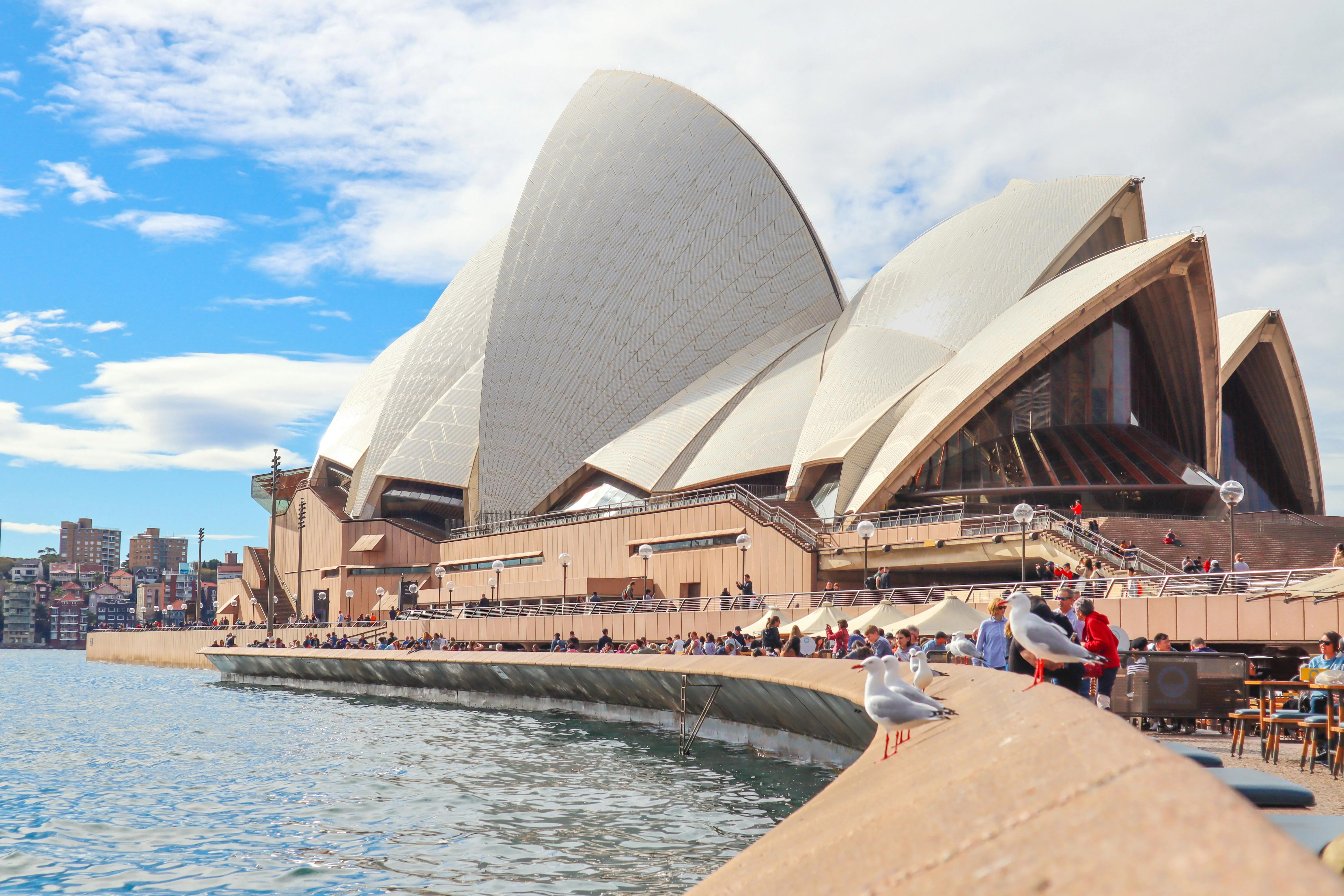 Harbour Sounds: Couple-Friendly Music Cruises and Concerts on Sydney's Waters Image 1