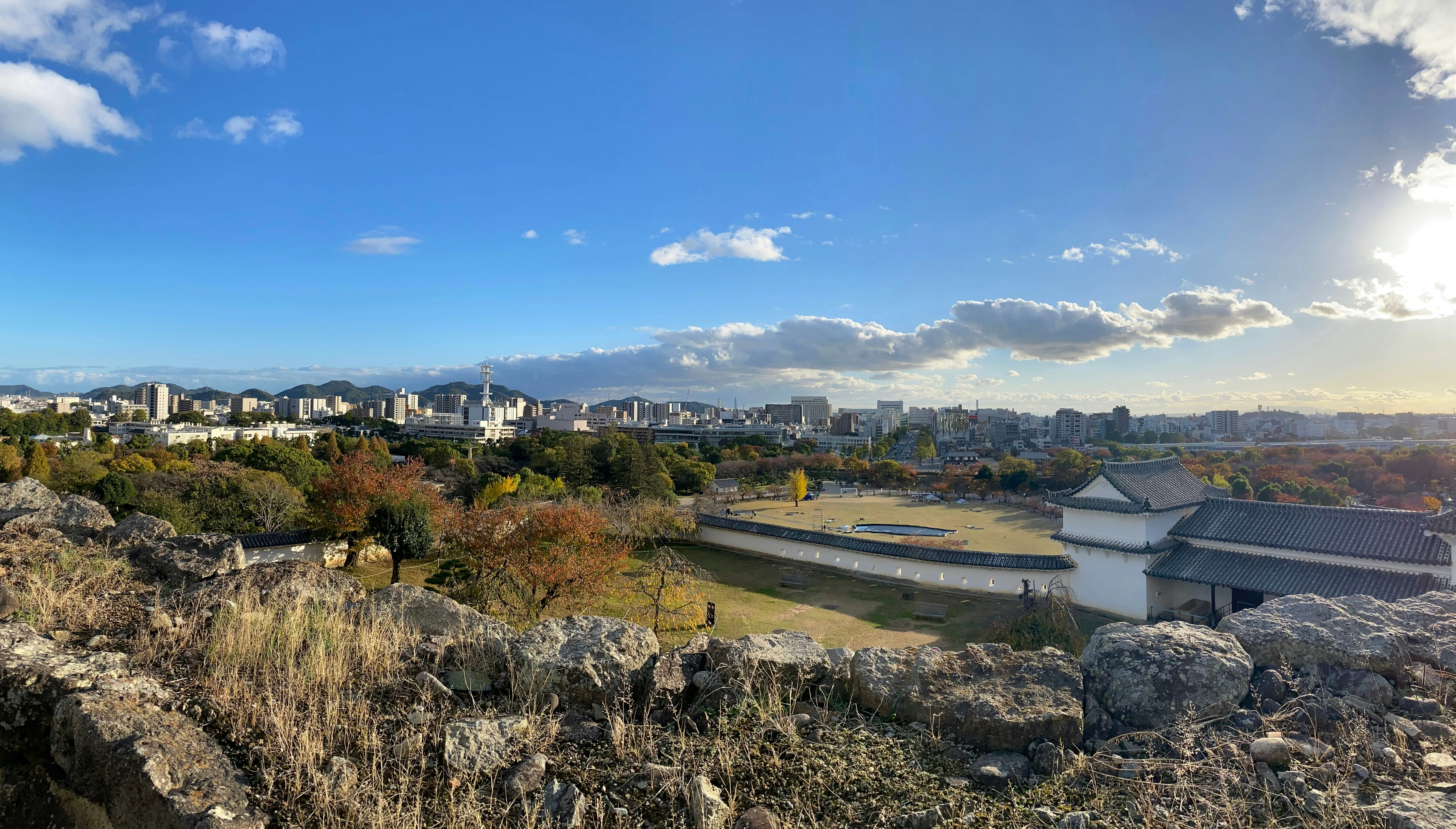 Culinary Flavors of the Forest: Wild Herbs and Mushrooms of Himeji