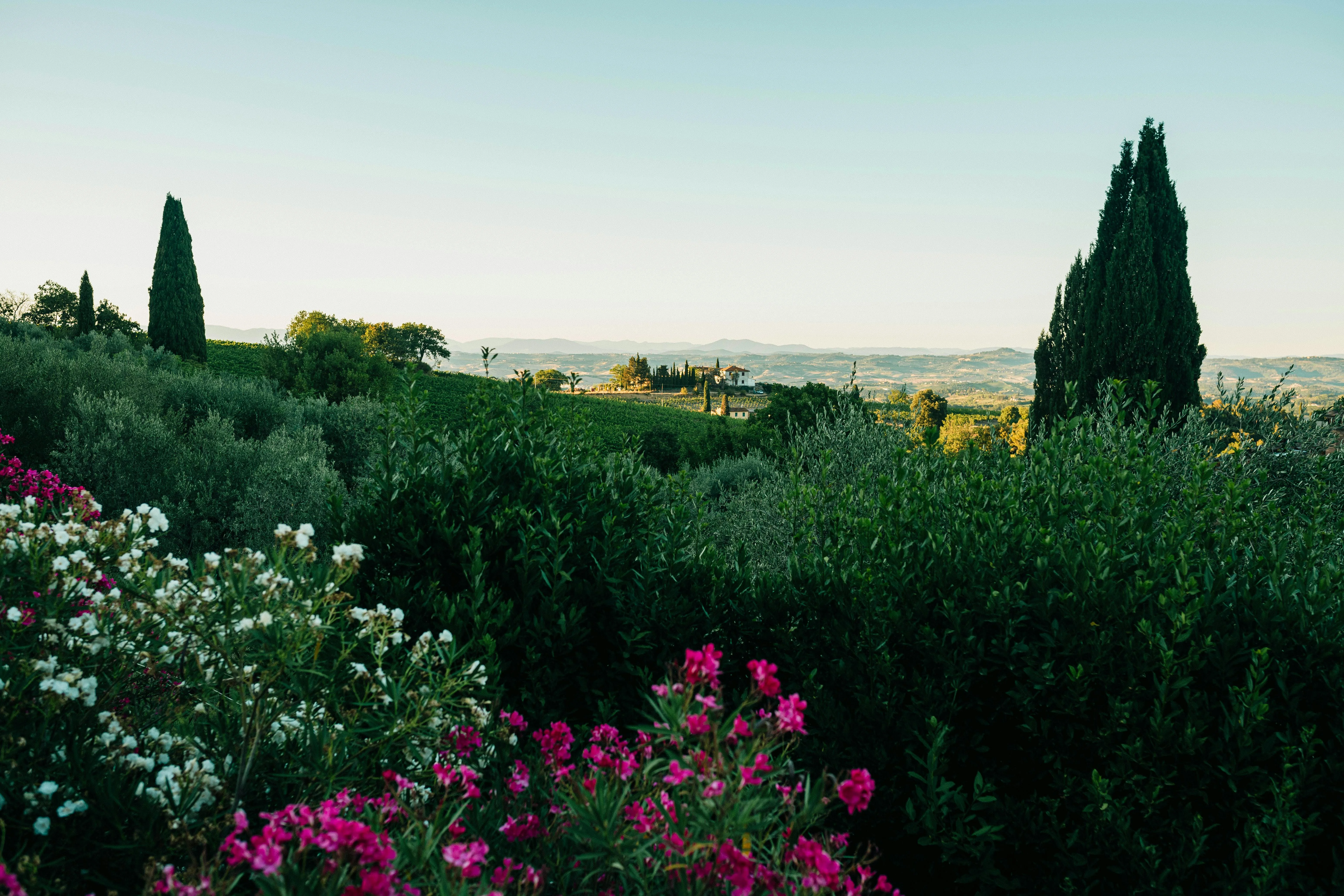 A Mindful Journey Through Time: Relaxing in Florence's Historic Landscapes