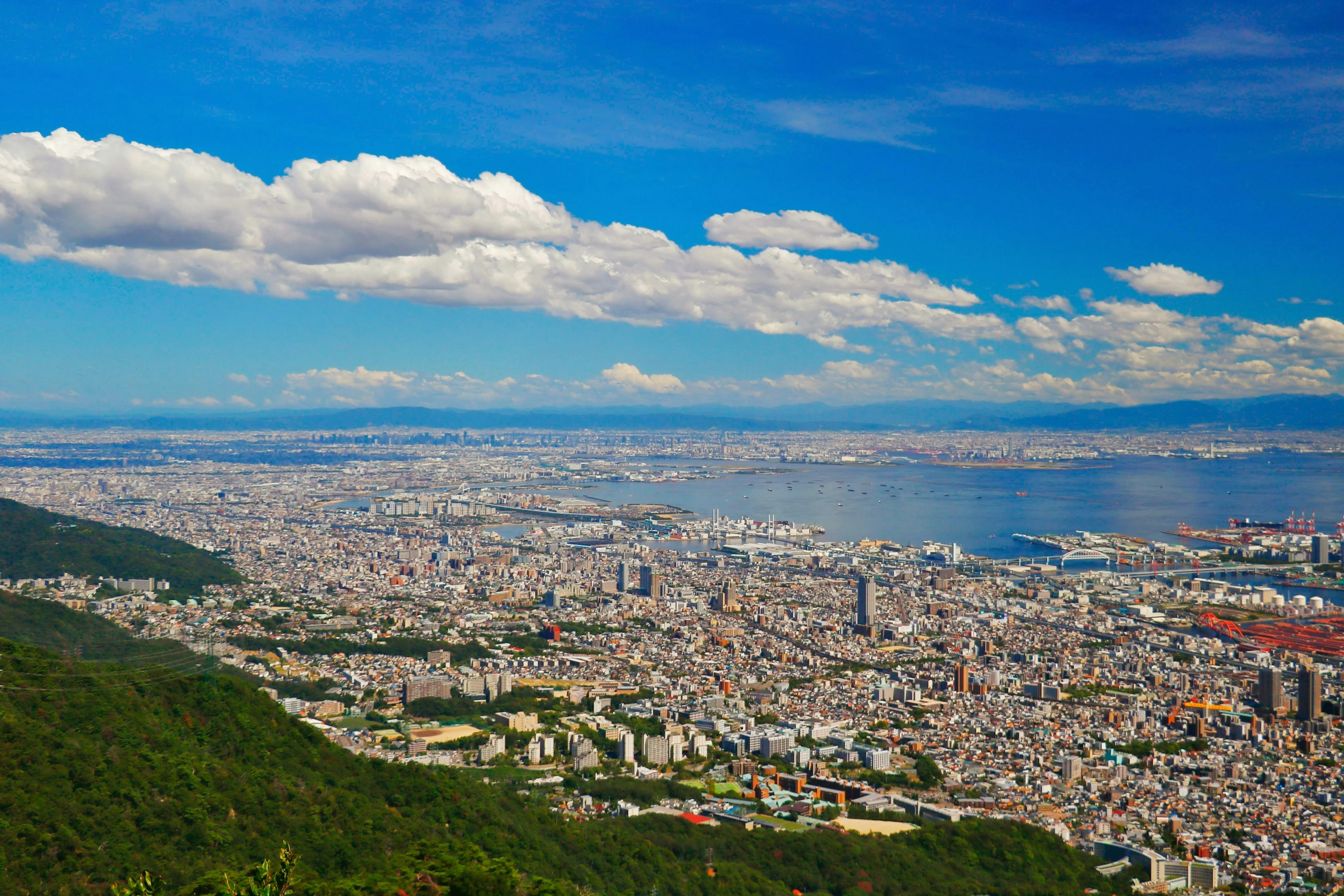 Masterclass in Motion: Swordsmanship and Samurai Cuisine in Kobe Image 3