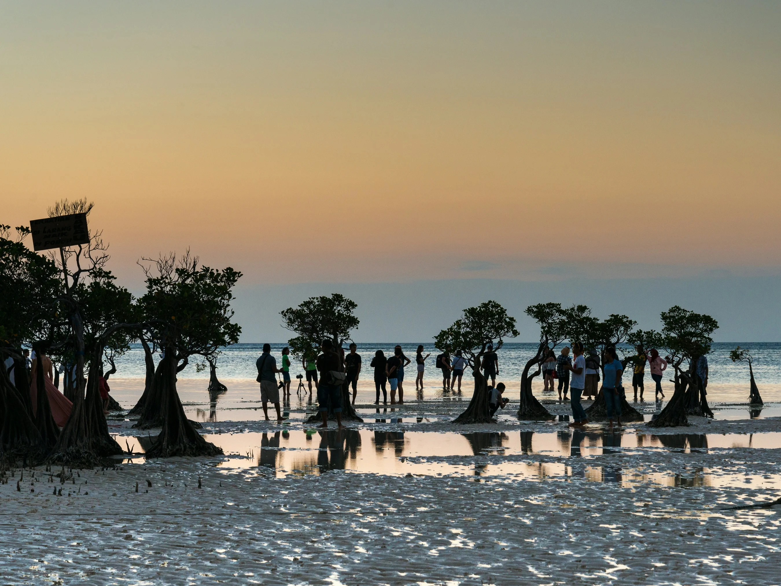 Indigenous Wisdom: Sustainable Agricultural Practices in Sumba Image 3