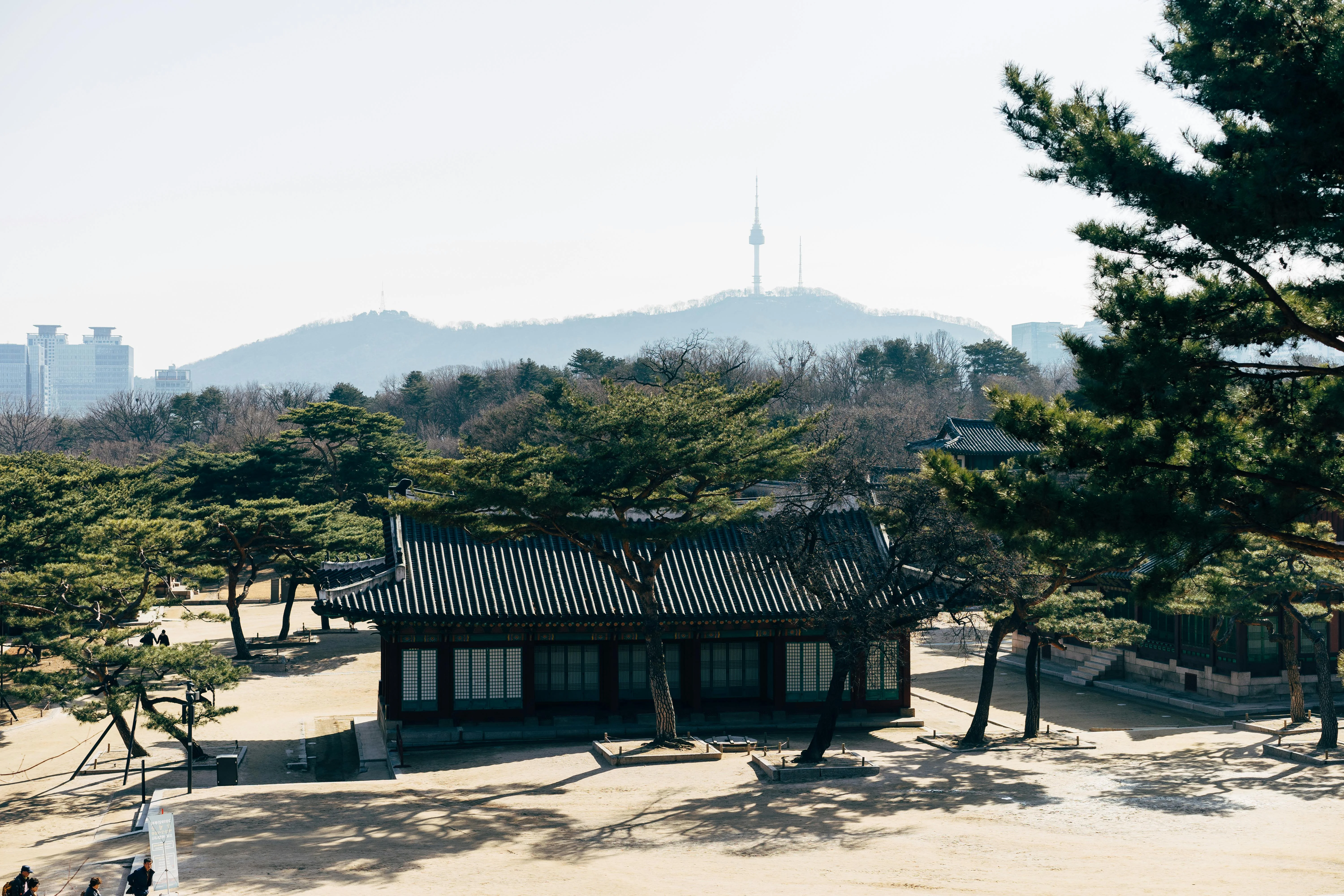 Seoul Through Shades of Green: Photography Tips for an Eco-Perspective Image 2