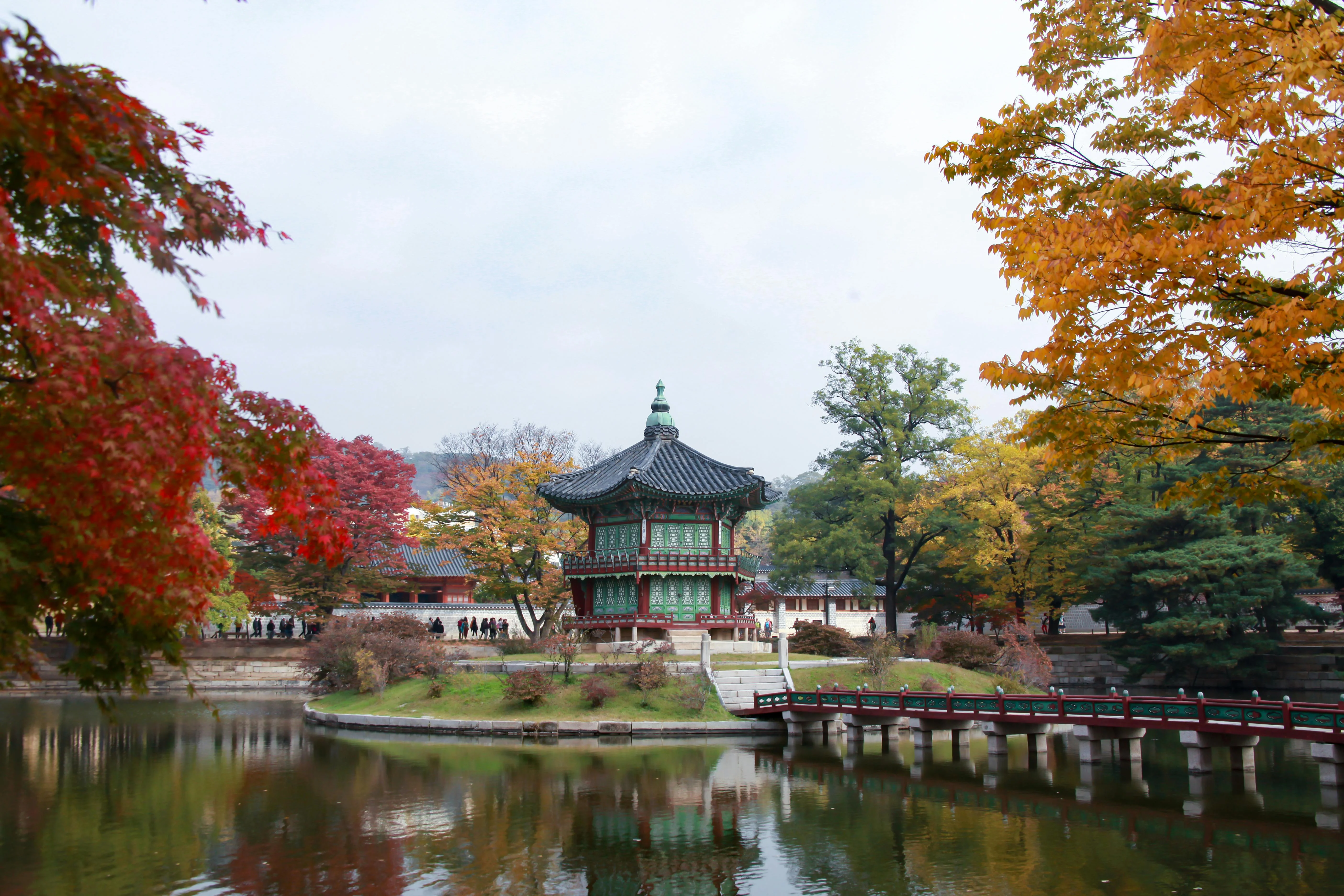 Seoul Through Shades of Green: Photography Tips for an Eco-Perspective