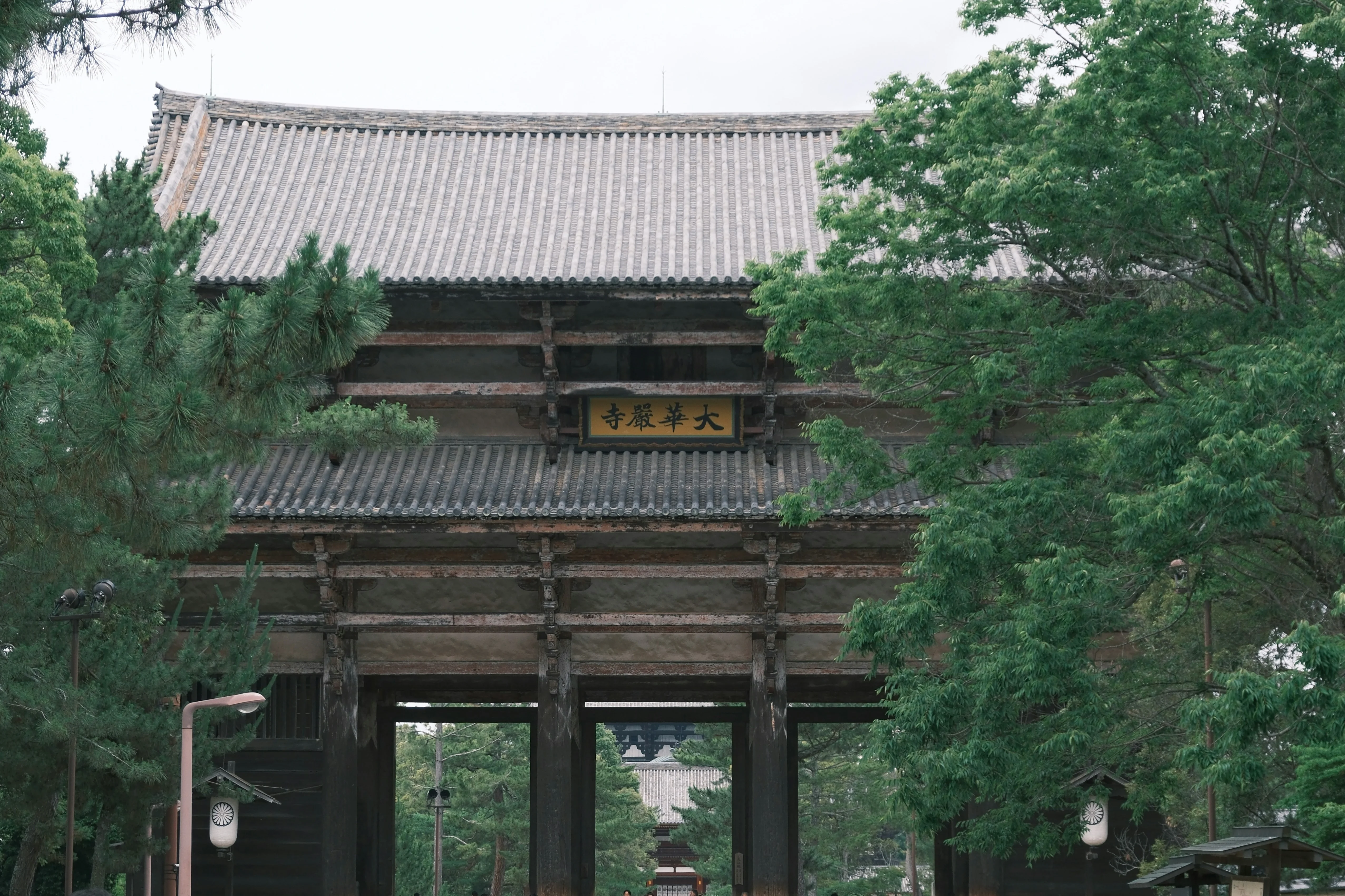 From Shrine to Street: A Fashion Lover's Guide to Nara's Hidden Yearning Spots