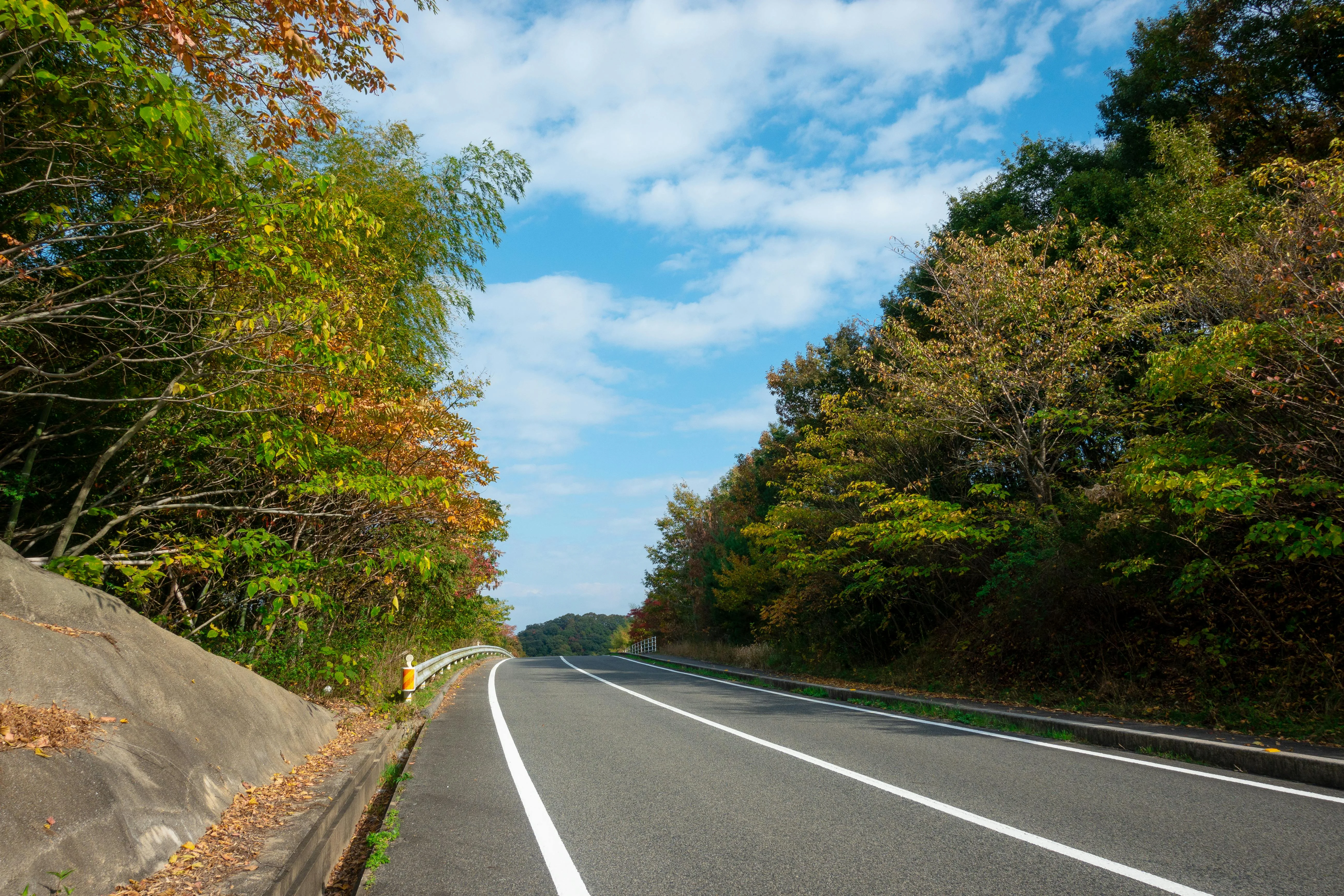 Green Getaways: Best Eco-Friendly Accommodations for Nomads in Hiroshima