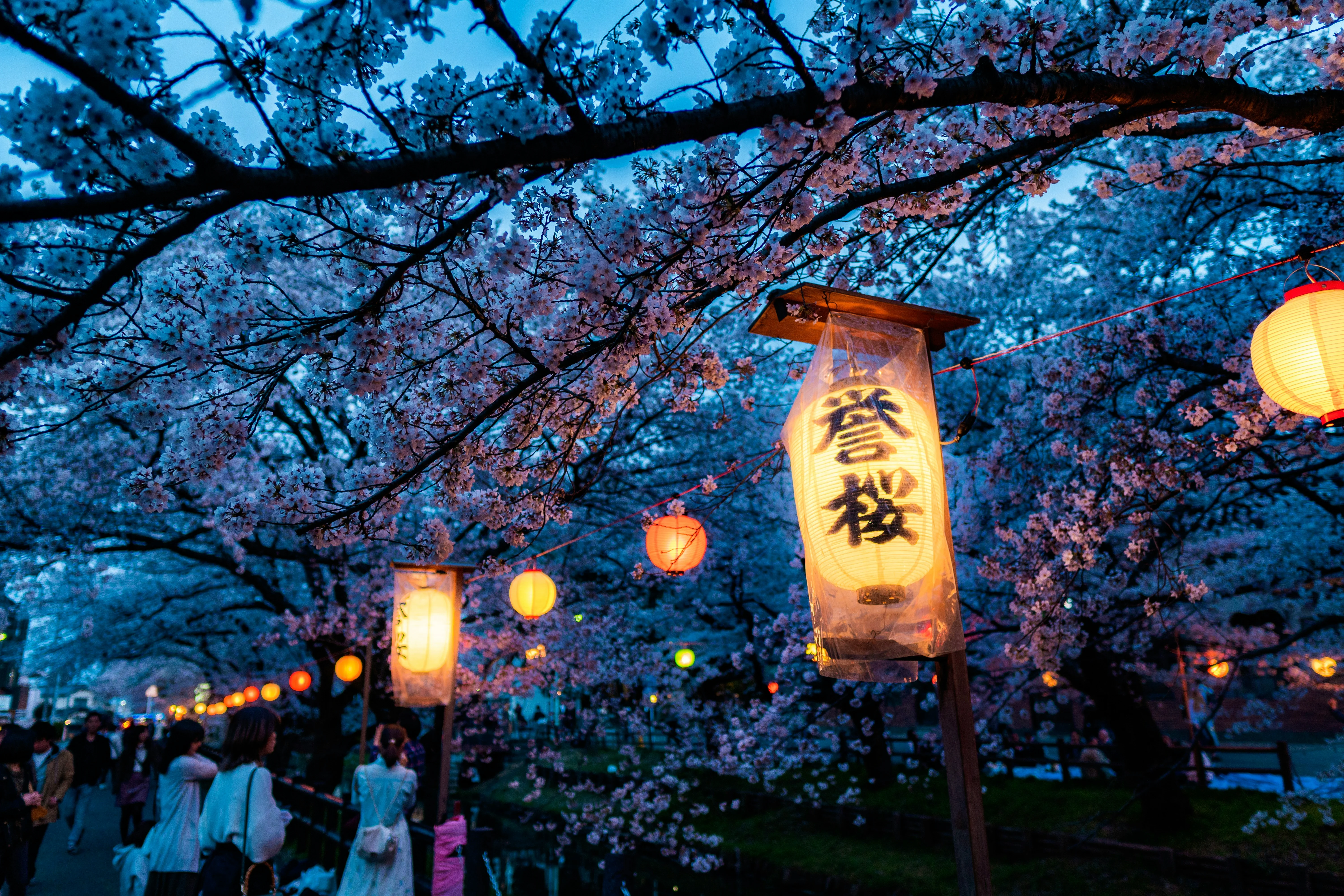 Captivating Lanterns and Spiritual Paths: Okinawa's Enchanting Night Festivals Image 1