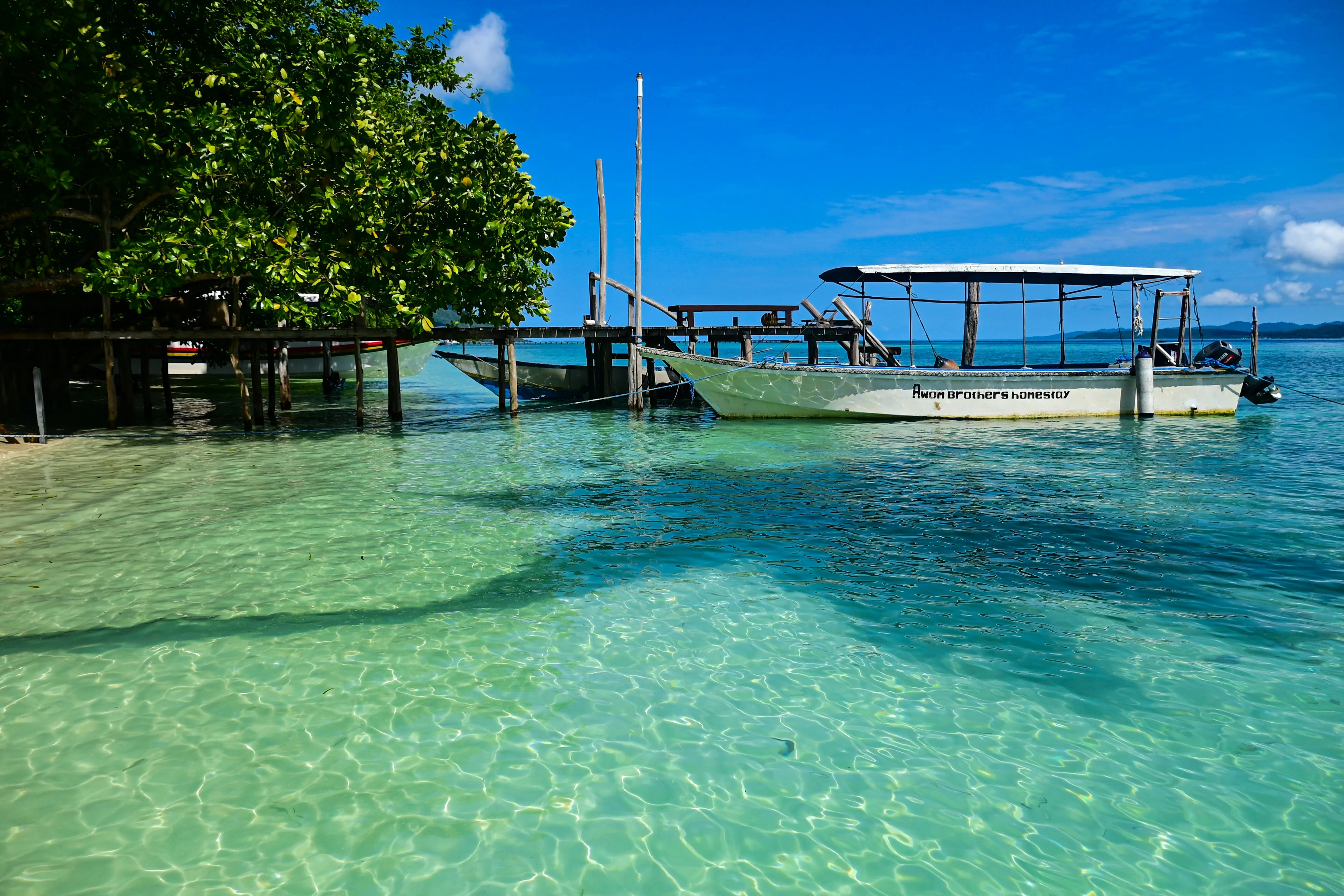 Delving into the Deep: Eco-Conscious Diving Adventures in Raja Ampat Image 1