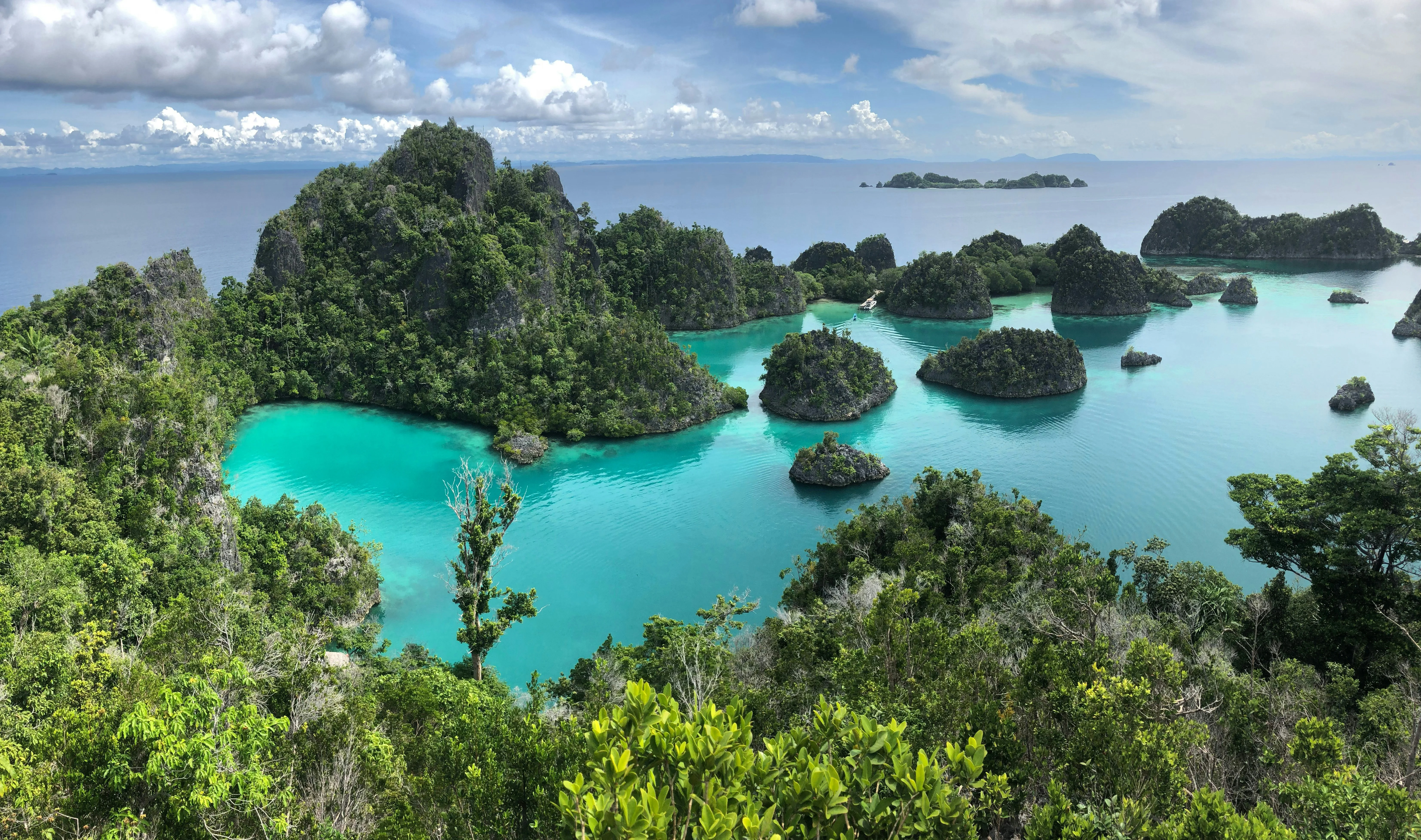 Delving into the Deep: Eco-Conscious Diving Adventures in Raja Ampat Image 2