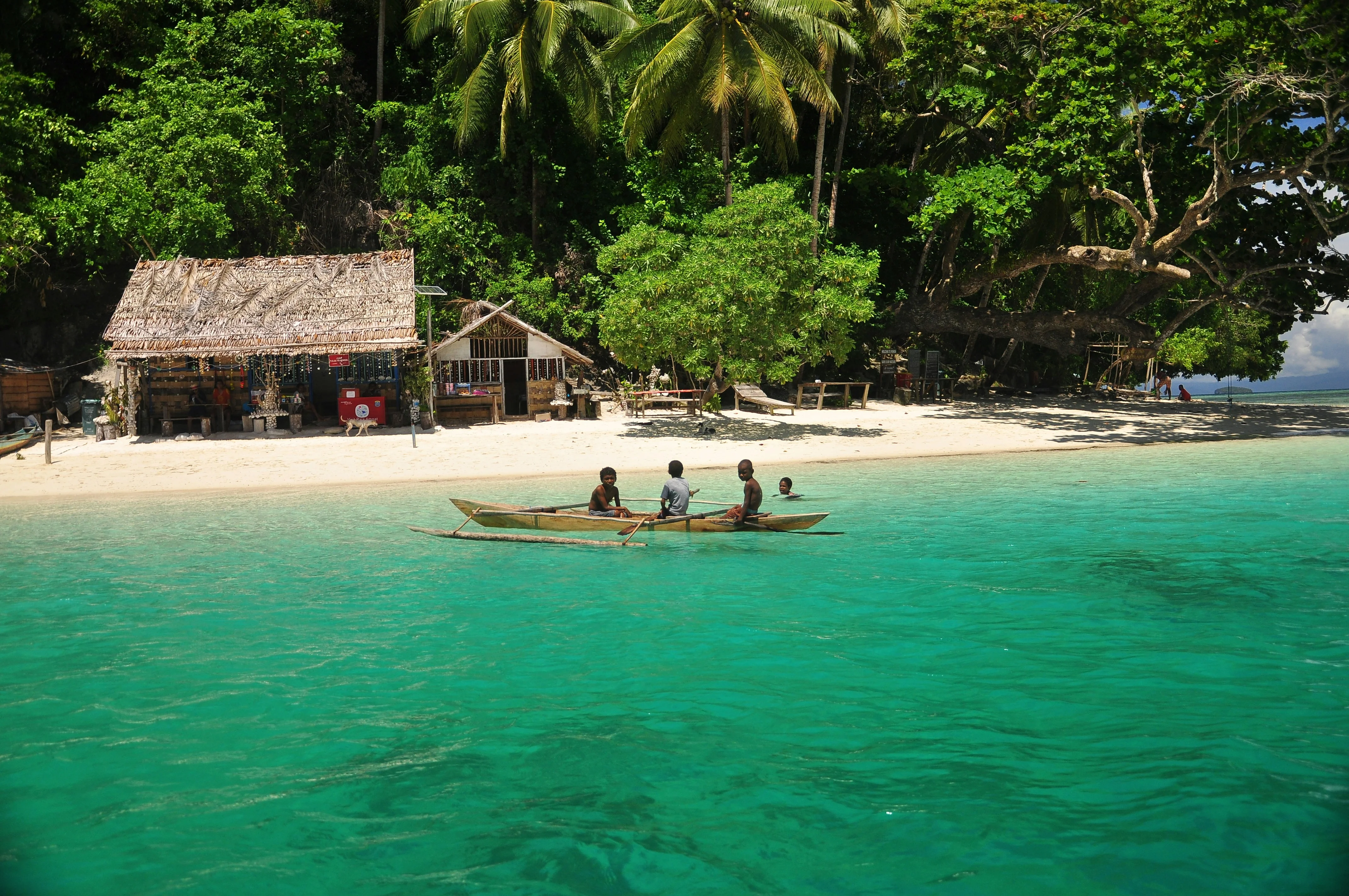 Delving into the Deep: Eco-Conscious Diving Adventures in Raja Ampat image 3