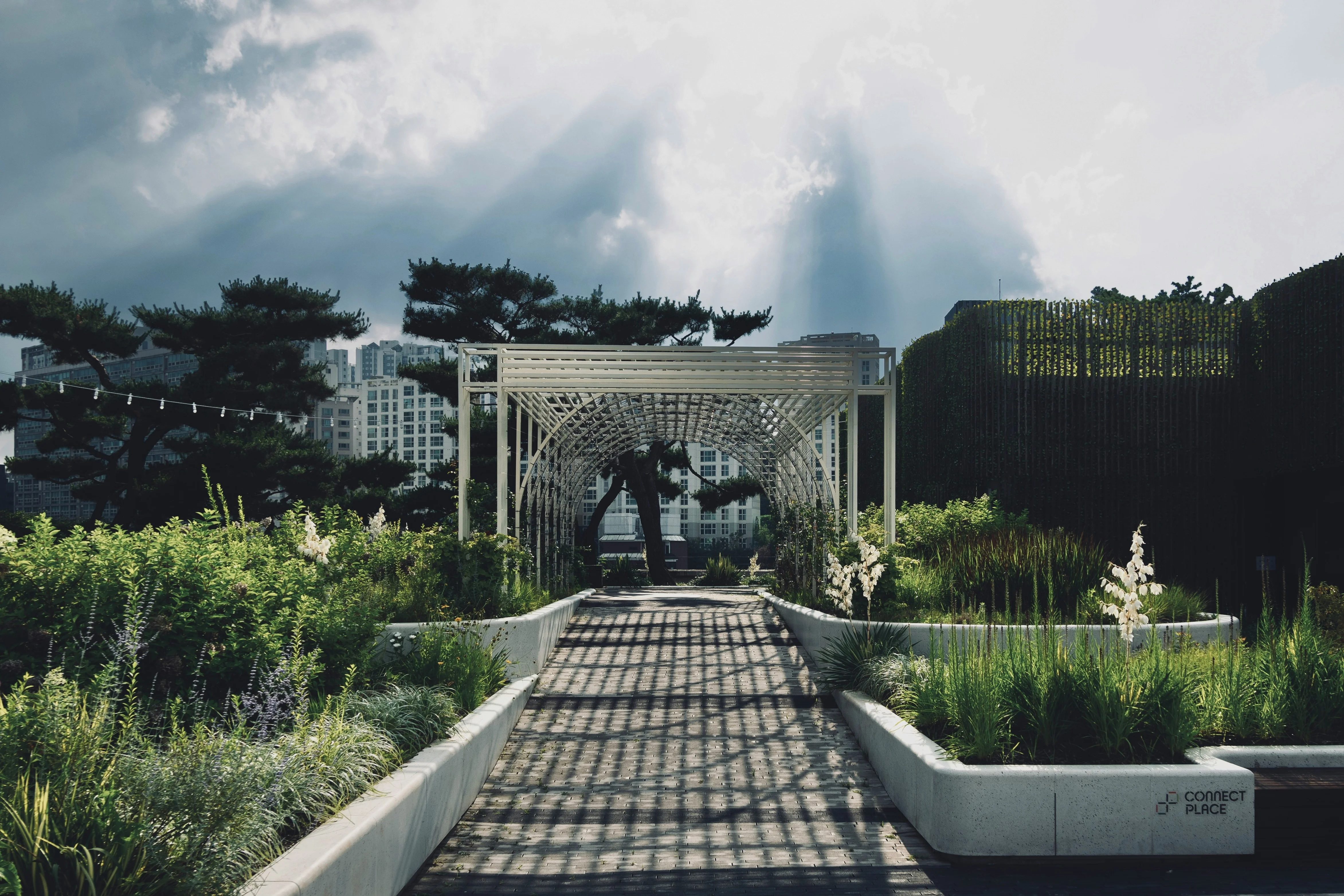 Lush Seoul Retreats to Shoot: Eco-Friendly Photography Tips and Locations