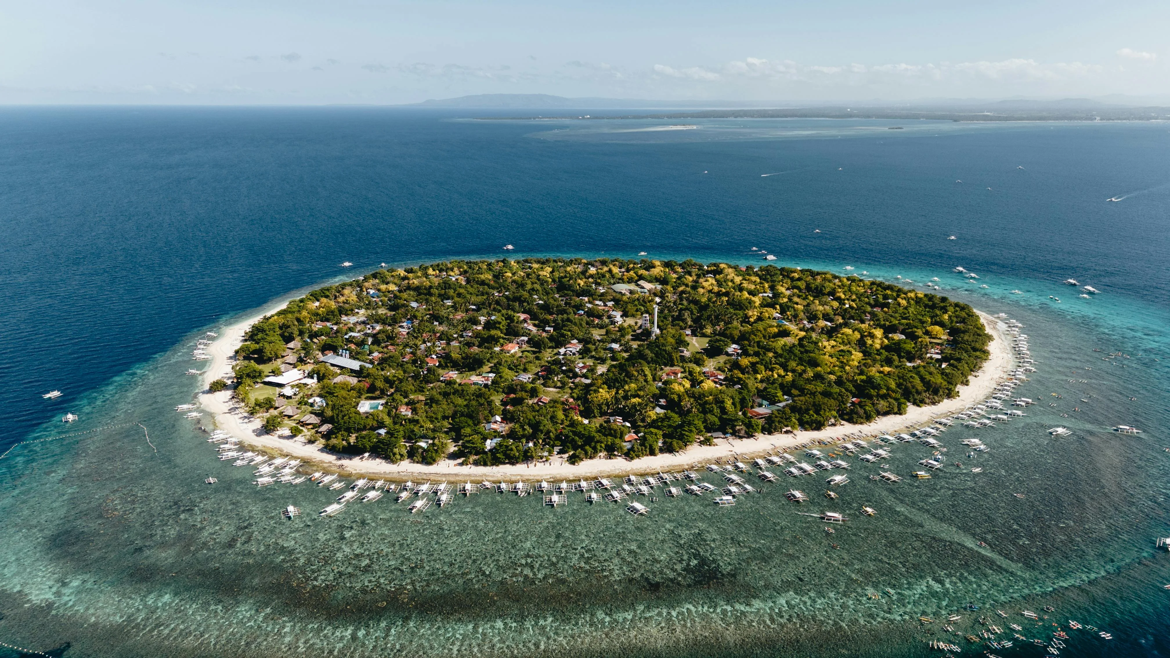 Riding the Ecological Balance in Bohol's Marine Sanctuary Adventures