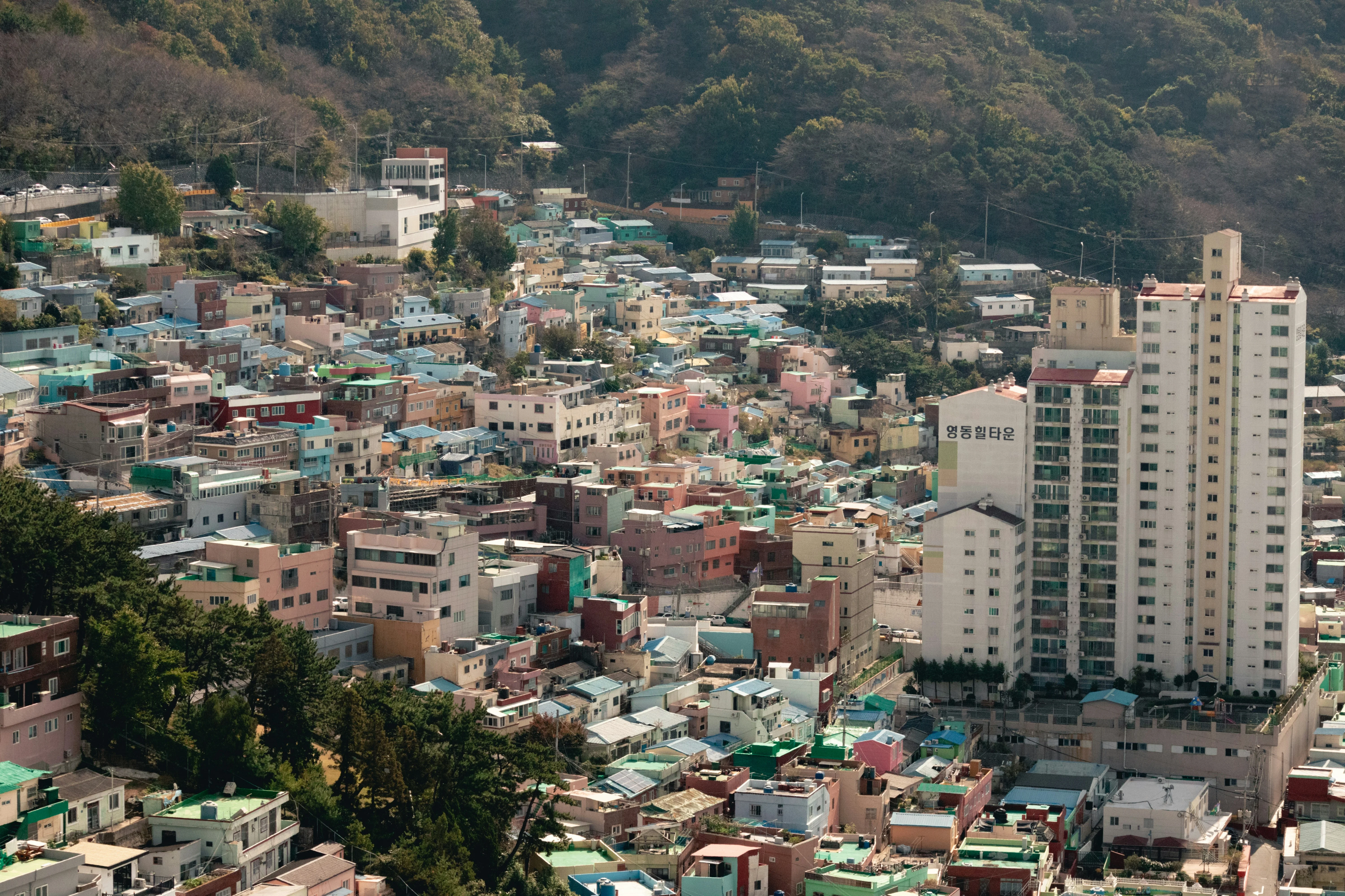 Bridges to the Past: Accessible Historic Walks in Busan Image 2