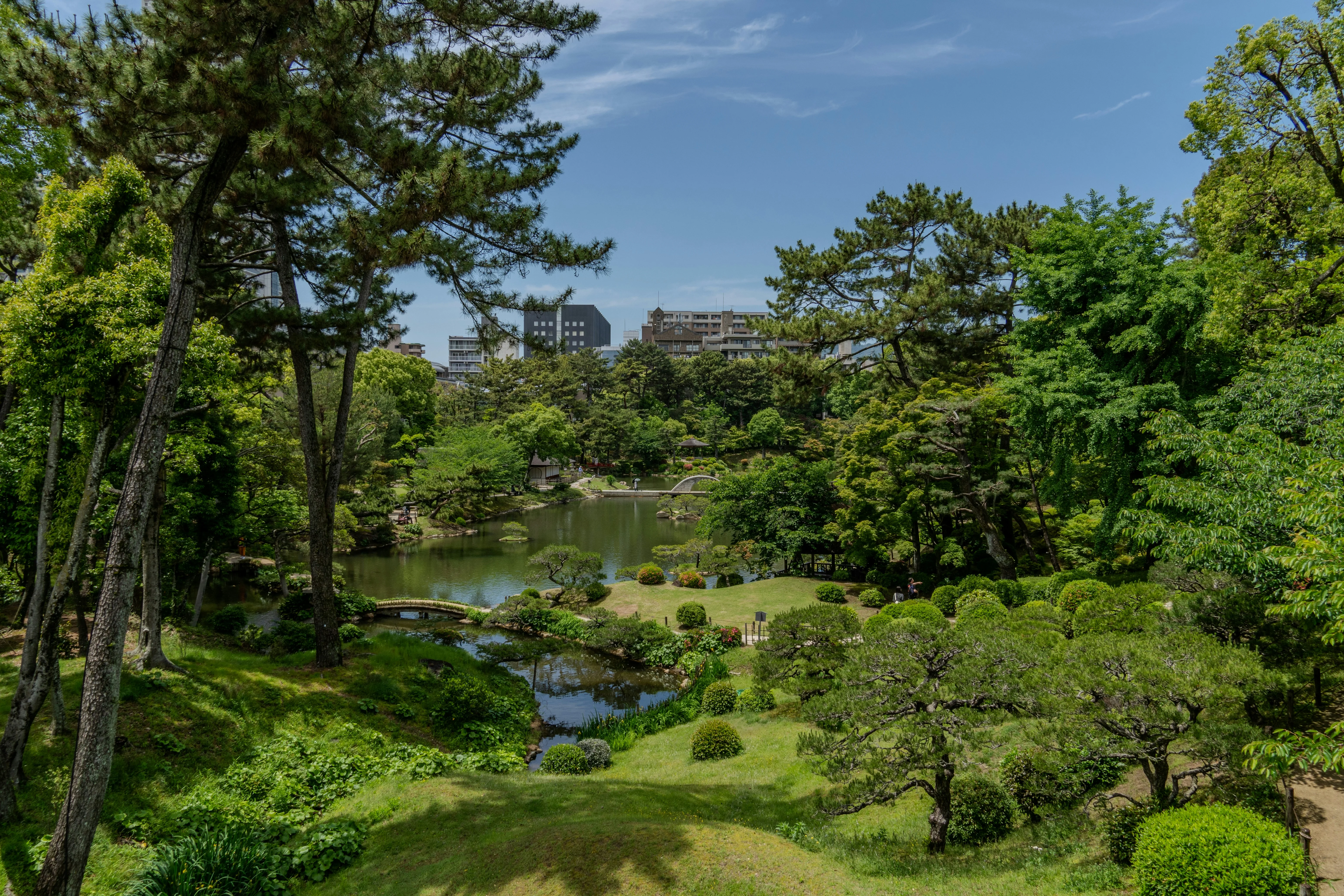 Healing Walks: Forest Bathing the Hiroshima Way