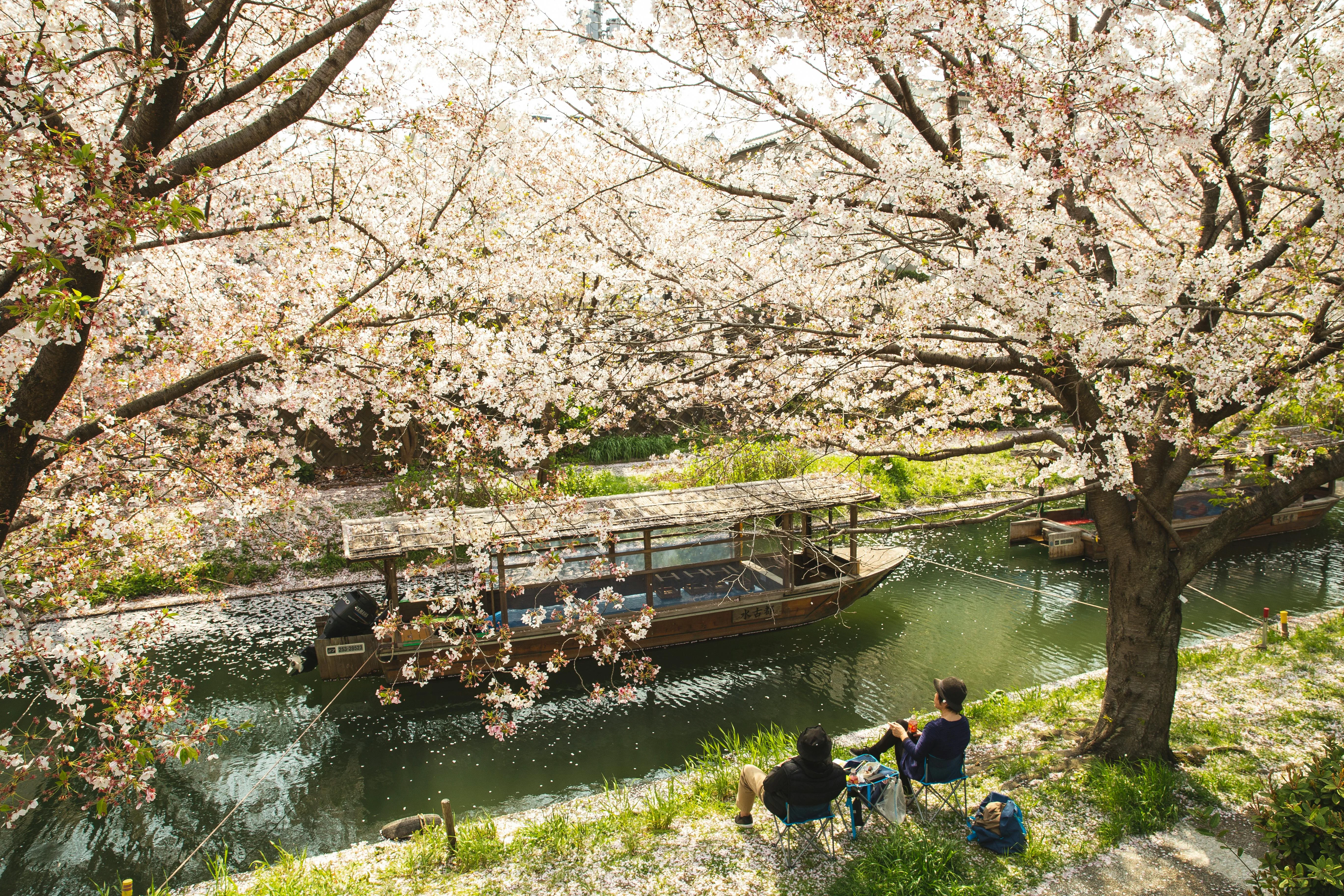 How Seasonal Aesthetic Influences Language in Kyoto's Tea Ceremonies Image 1