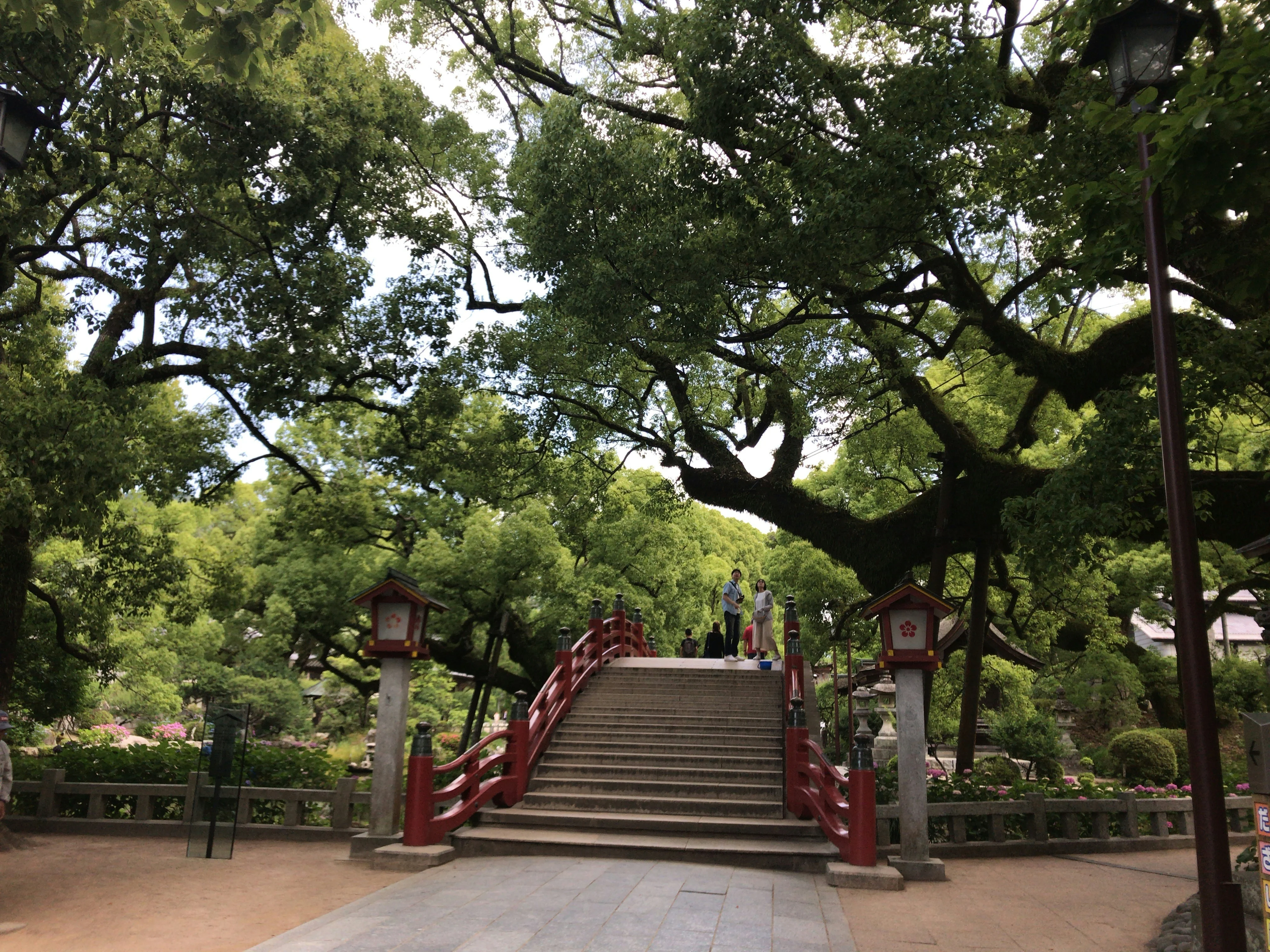 Literary Walks in Nature: Finding Japan's Poetic Landscapes in Fukuoka Image 2