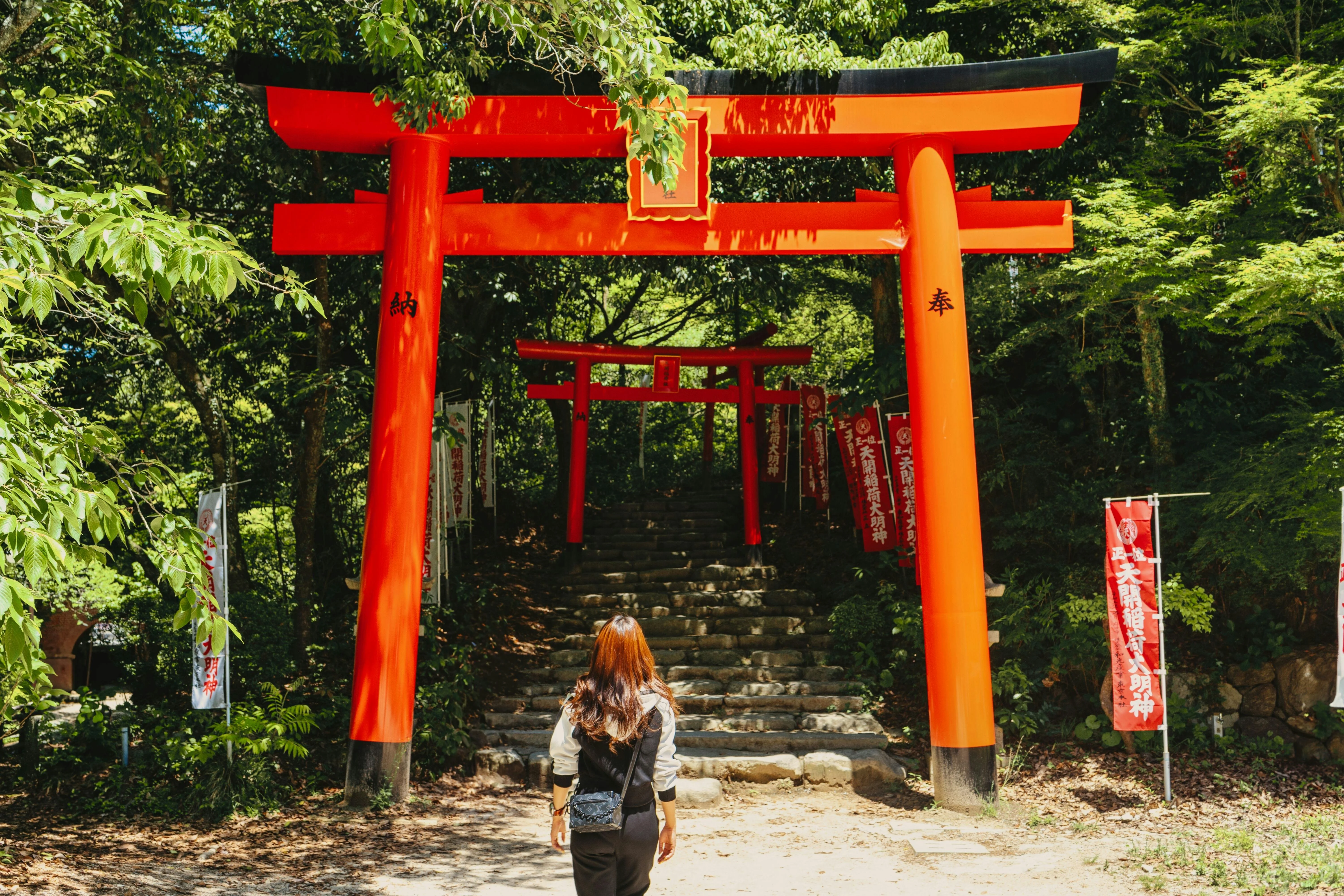 Literary Walks in Nature: Finding Japan's Poetic Landscapes in Fukuoka Image 3