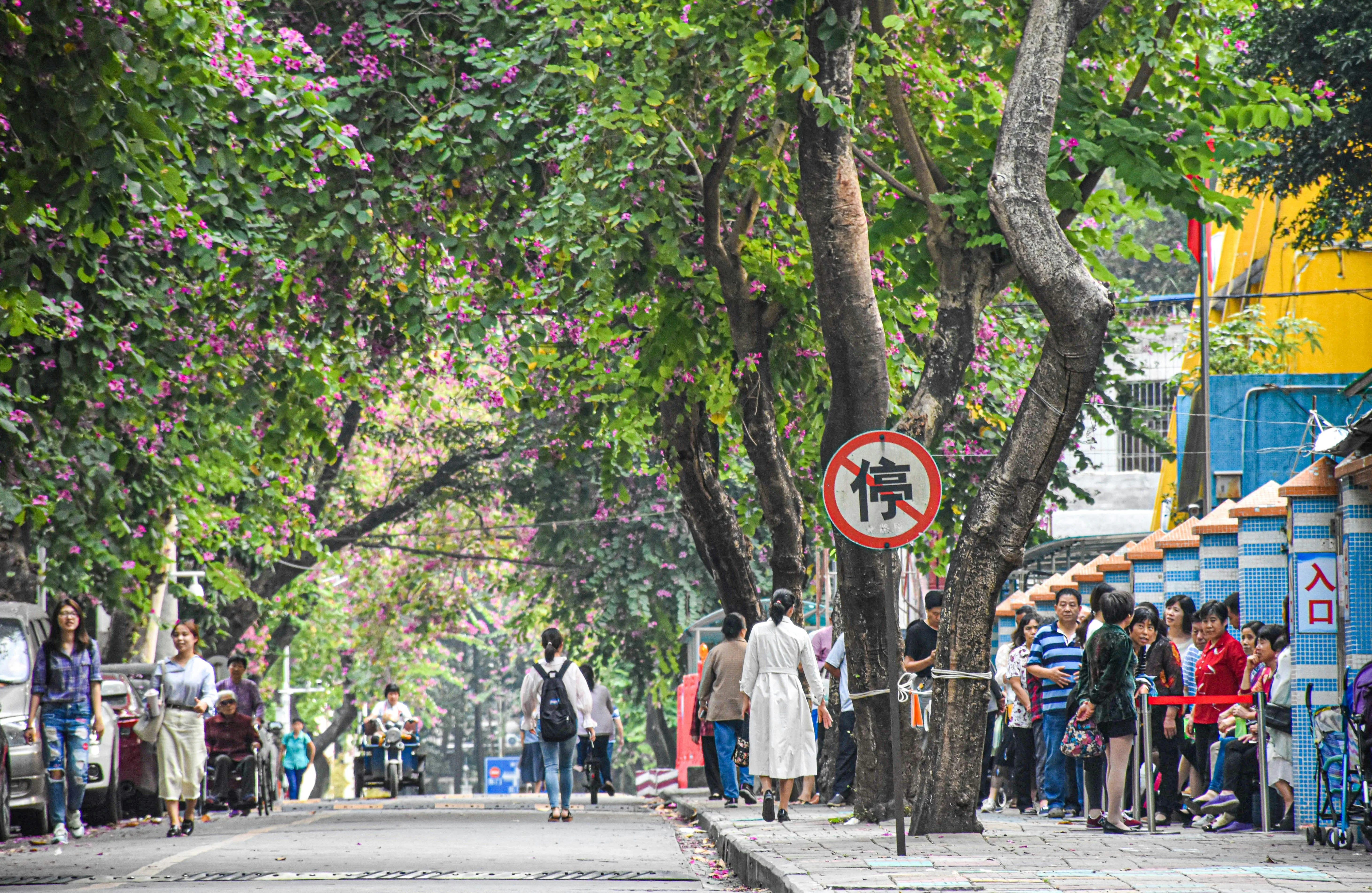 Guangzhou in Motion: Tips for Capturing the City's Biking Culture Image 2