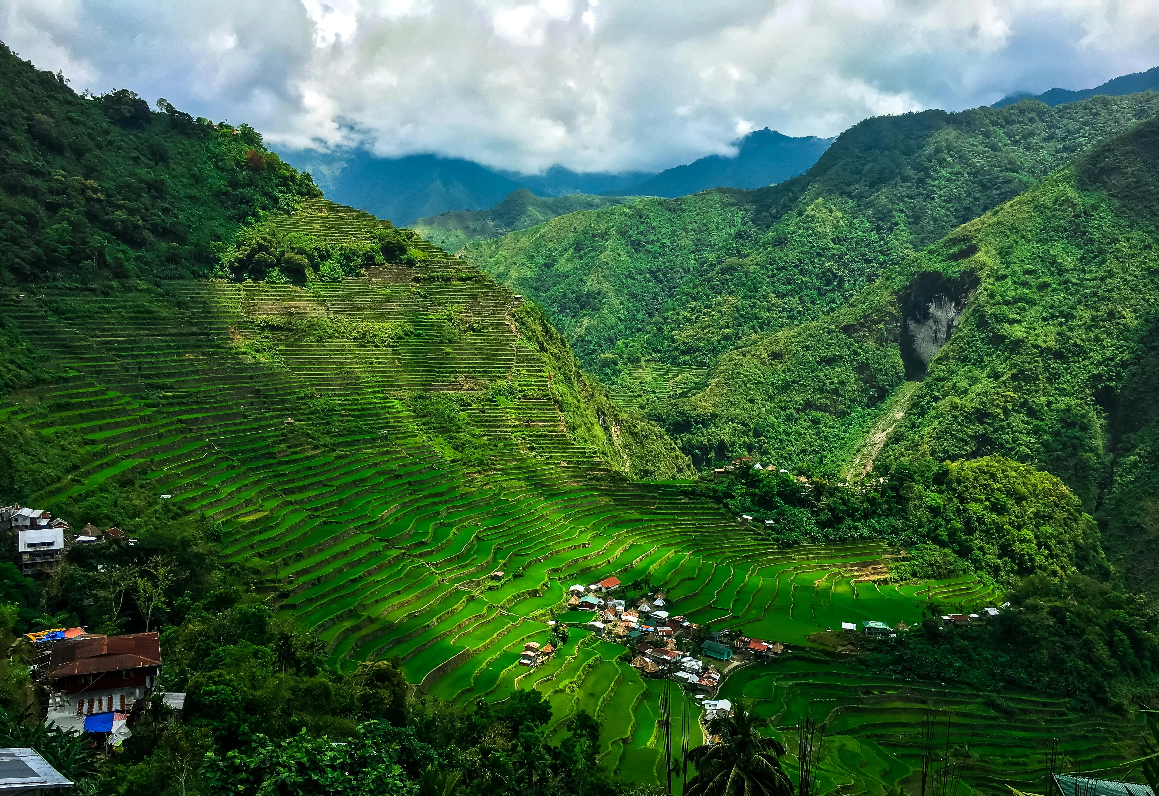 Peaceful Paradises: Exploring the Underrated Natural Wonders of Bohol Image 2