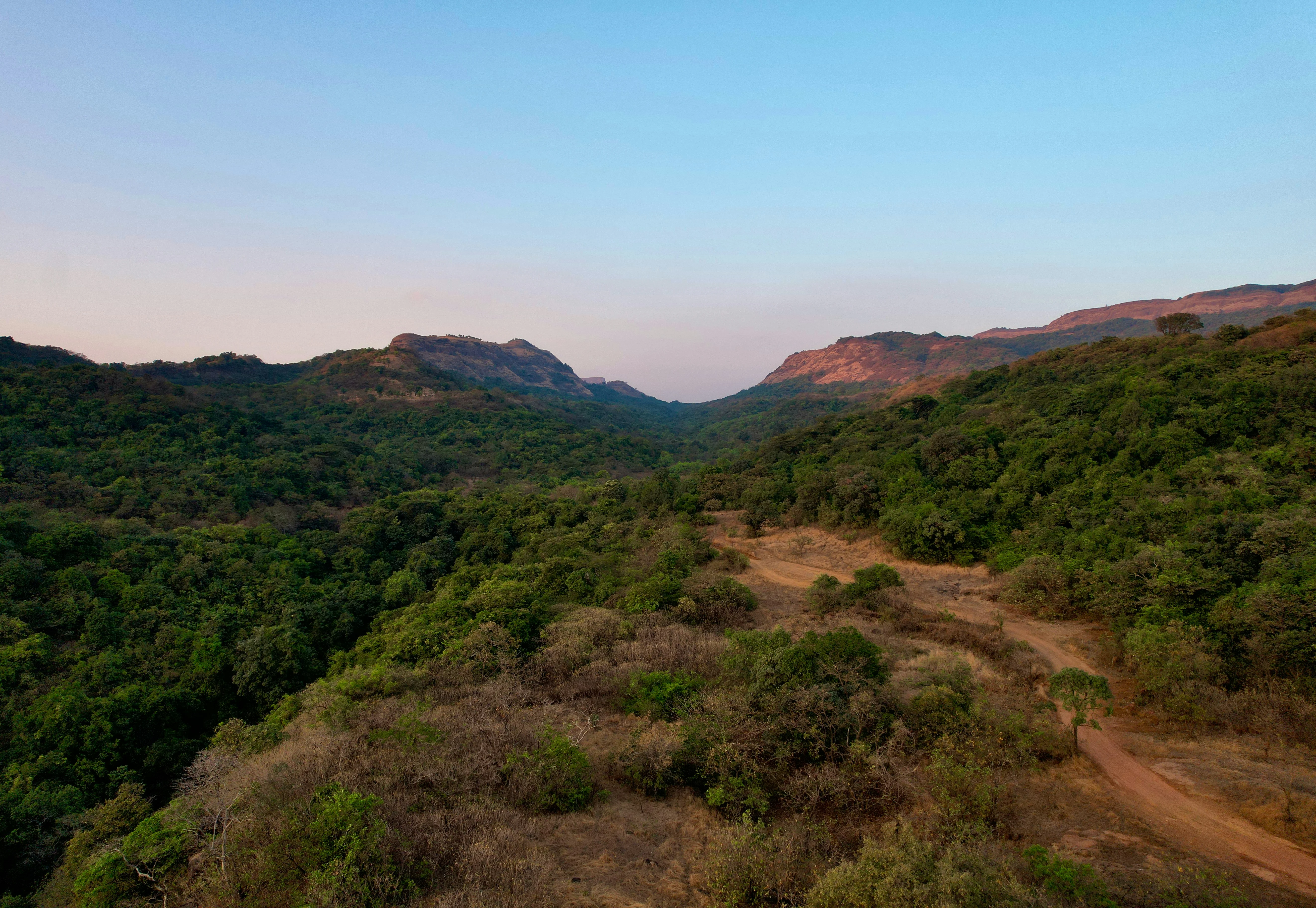 Navigating the Ghats: Road Tripping the Winding Roads of Maharashtra