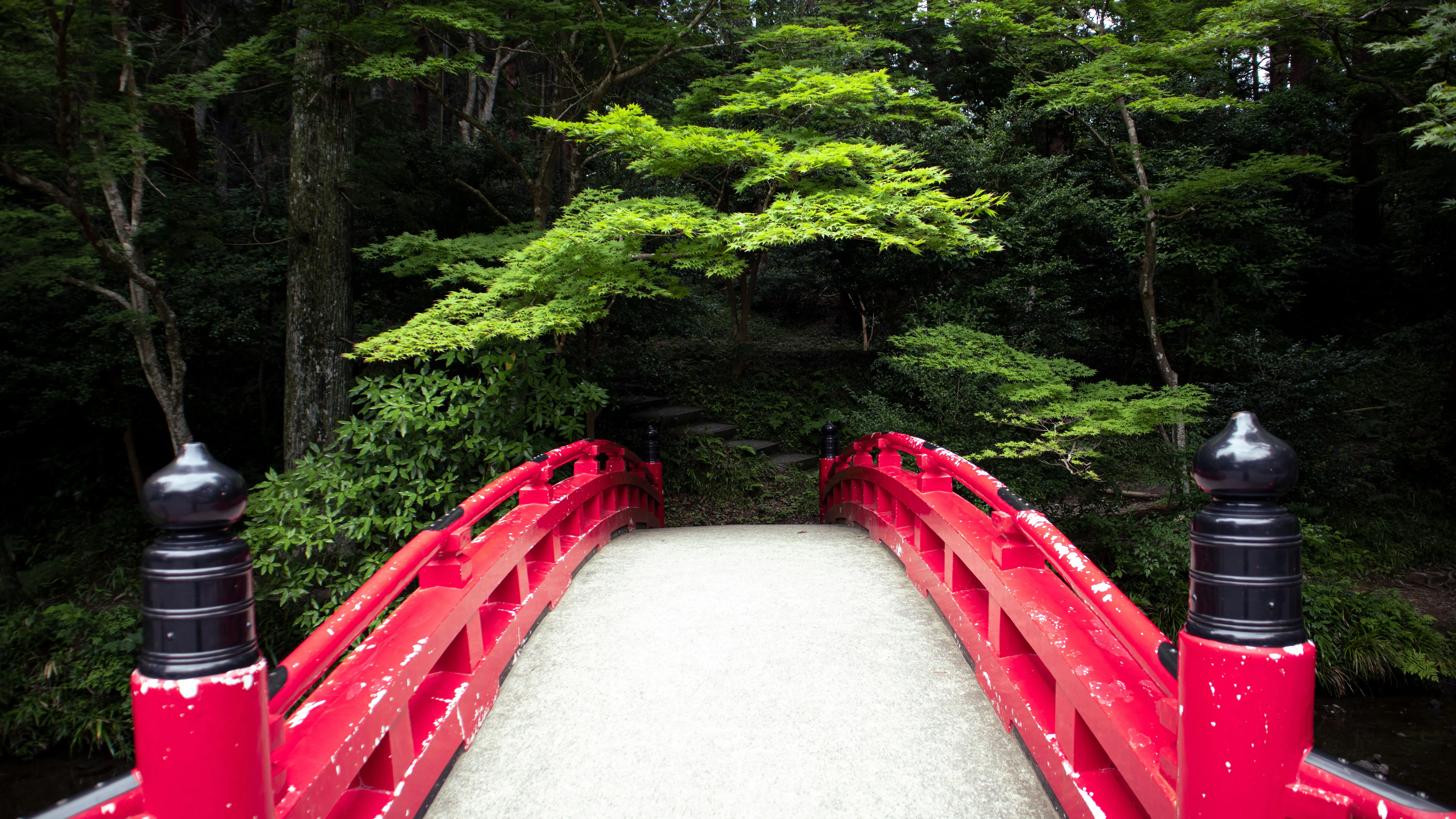 Echoes of Peace: Discover Hiroshima's Lesser-Known Nature Trails