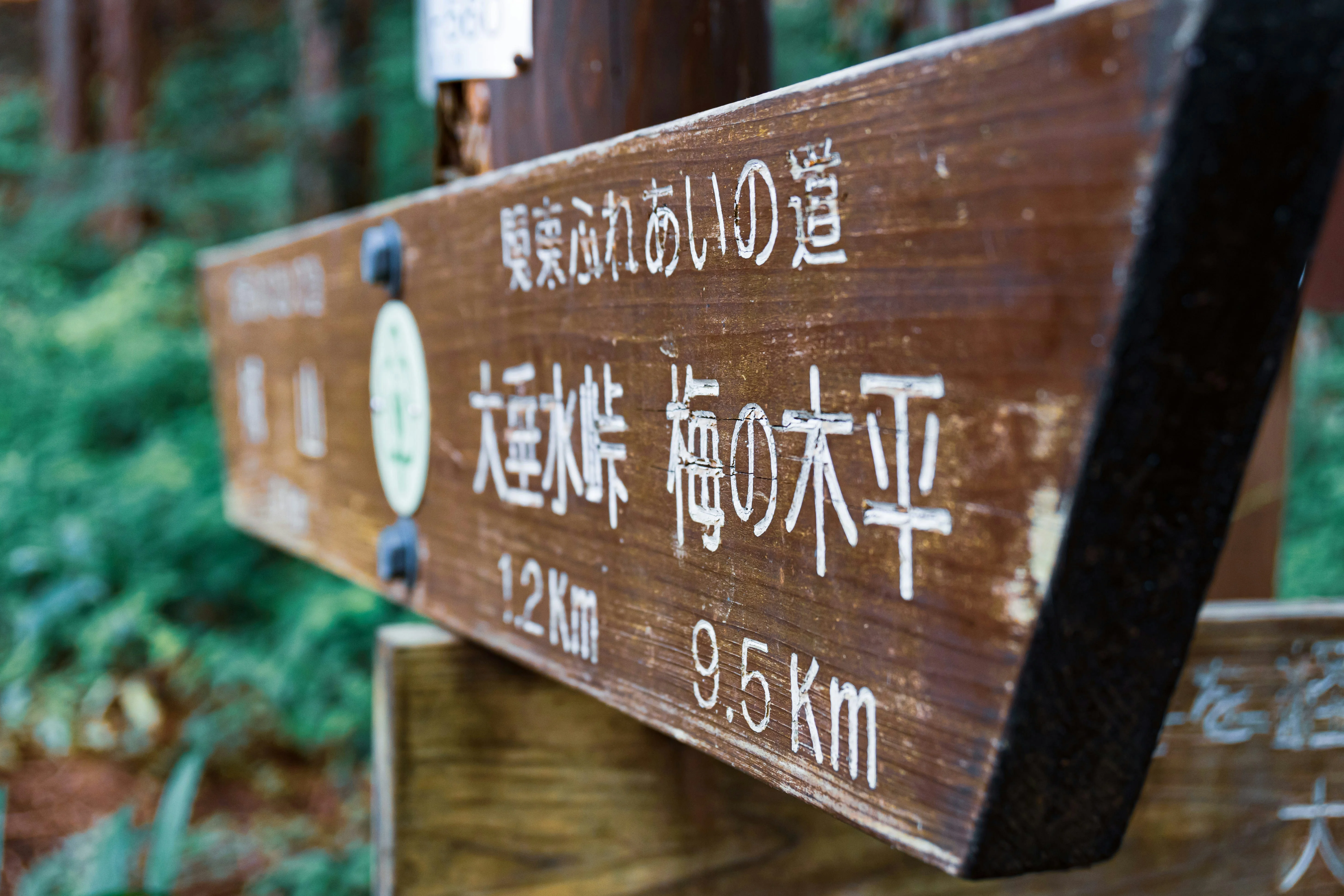 Hidden Treasures: Unexplored Hiking Trails of Osaka image 1