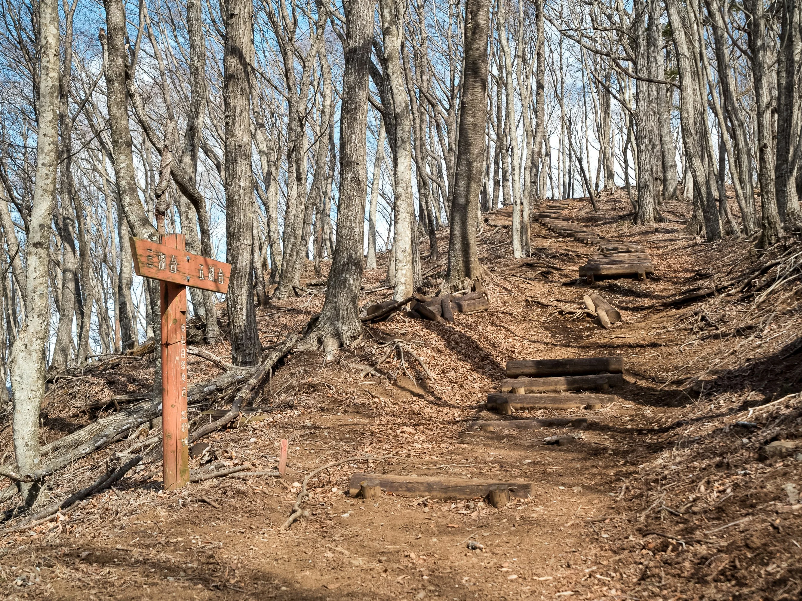 Hidden Treasures: Unexplored Hiking Trails of Osaka image 3