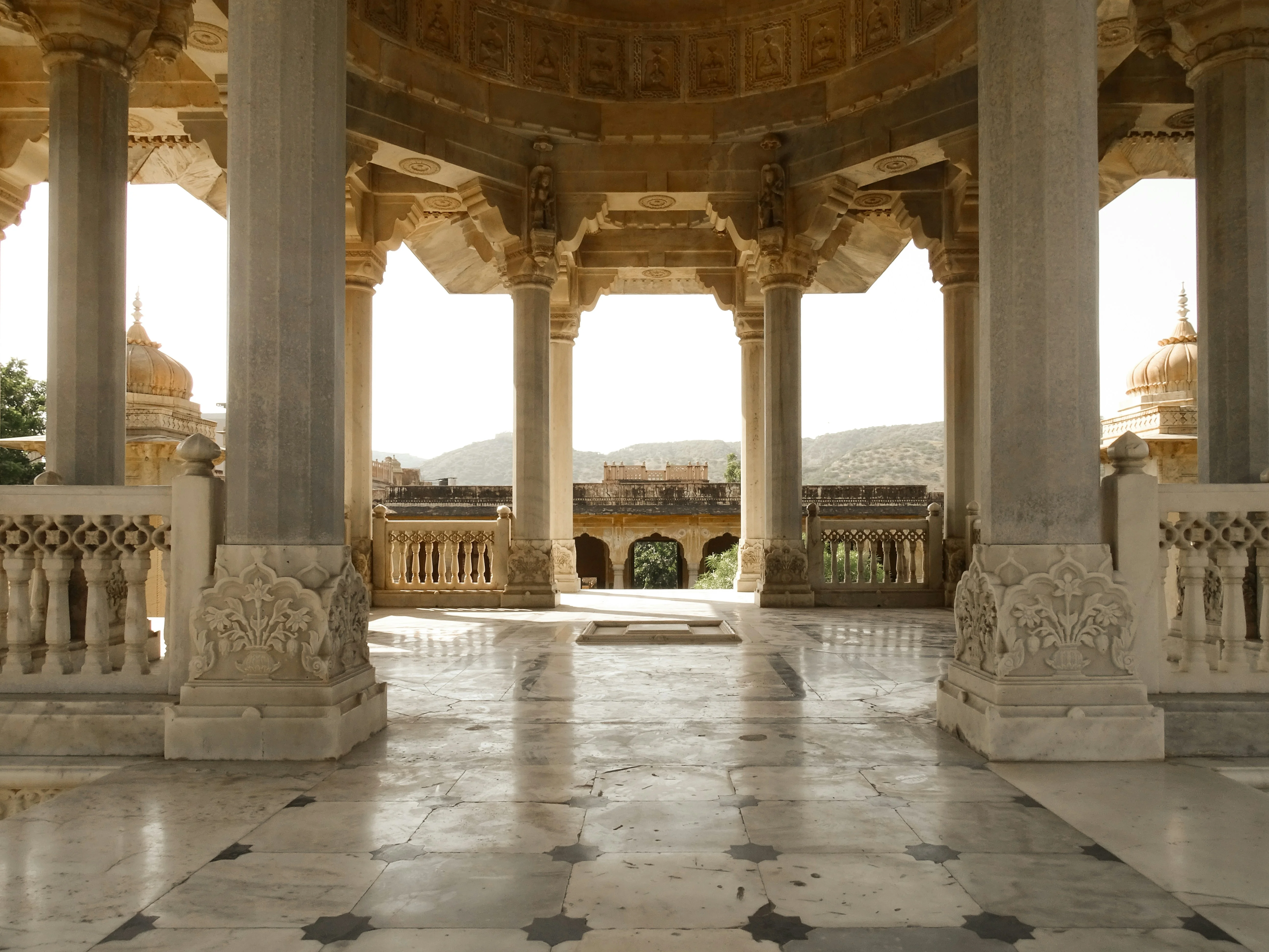 Embrace Jaipur's Royal Heritage with Your Furry Companion: A Solo Traveler's Guide Image 1