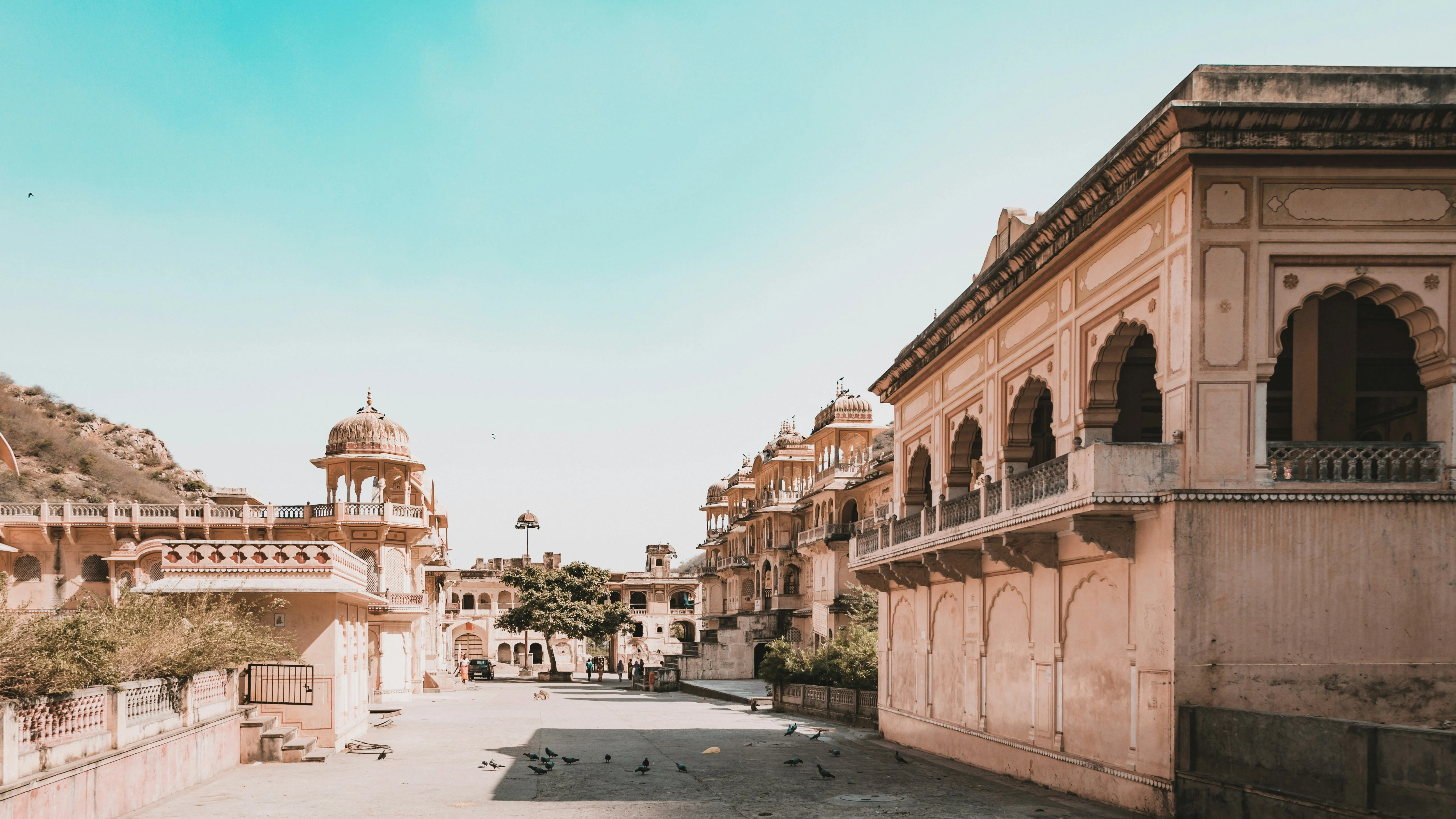 Embrace Jaipur's Royal Heritage with Your Furry Companion: A Solo Traveler's Guide Image 3