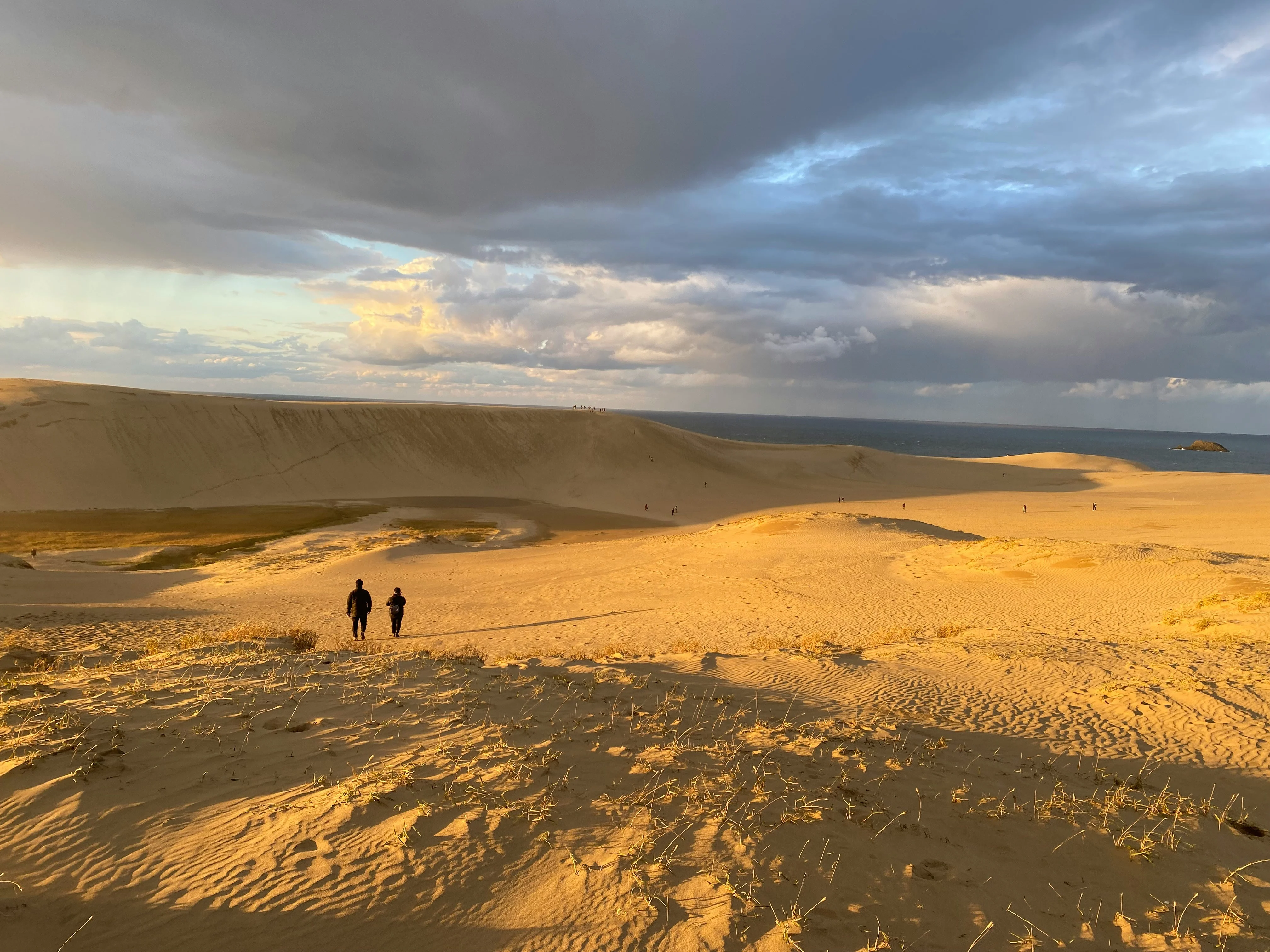 Wanderlust and Sand: Discovering Tottori's Hidden Dunes on a Shoestring