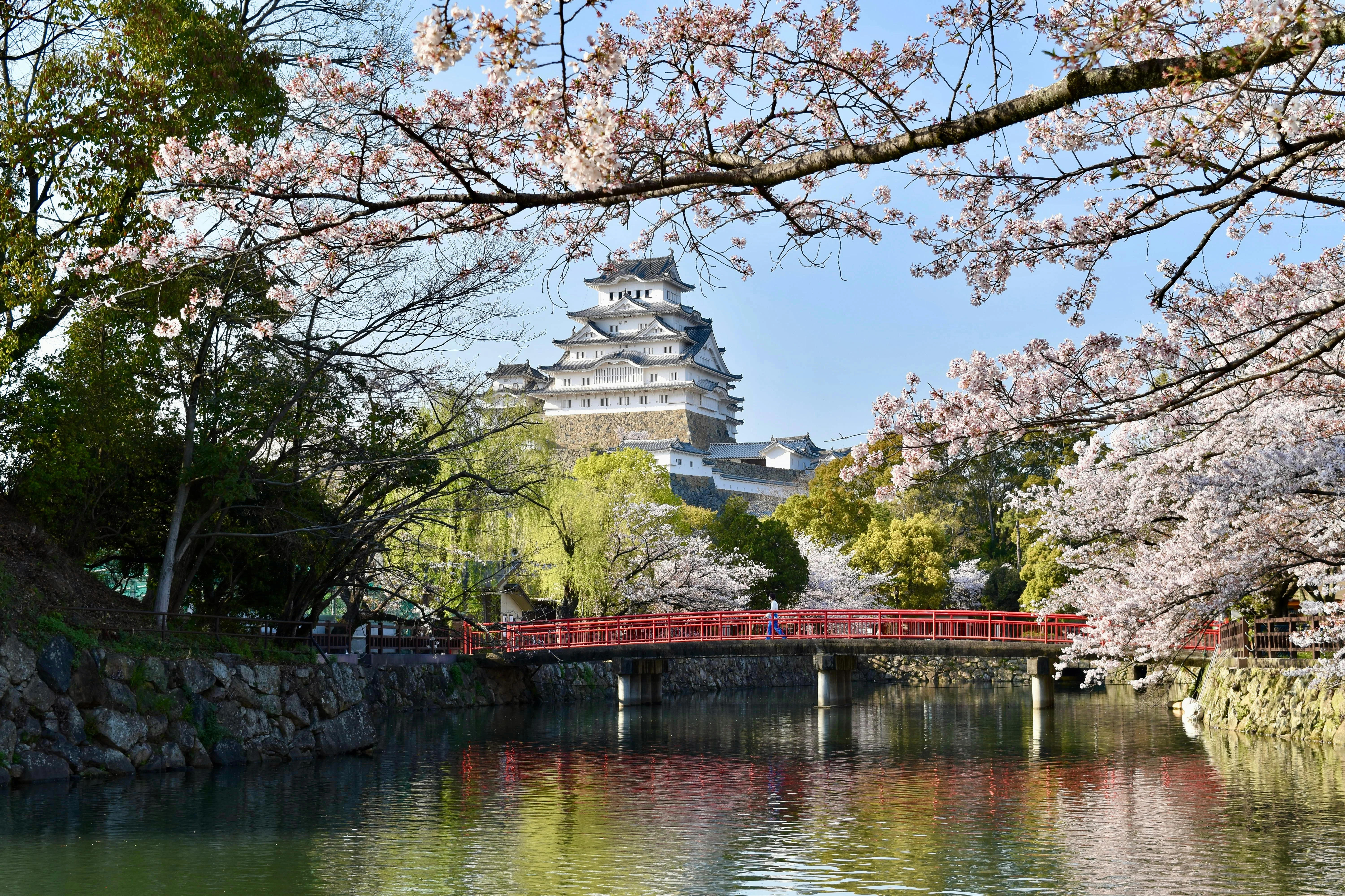 A Tranquil Escape: Discovering Himeji's Best Hidden Nature Retreats