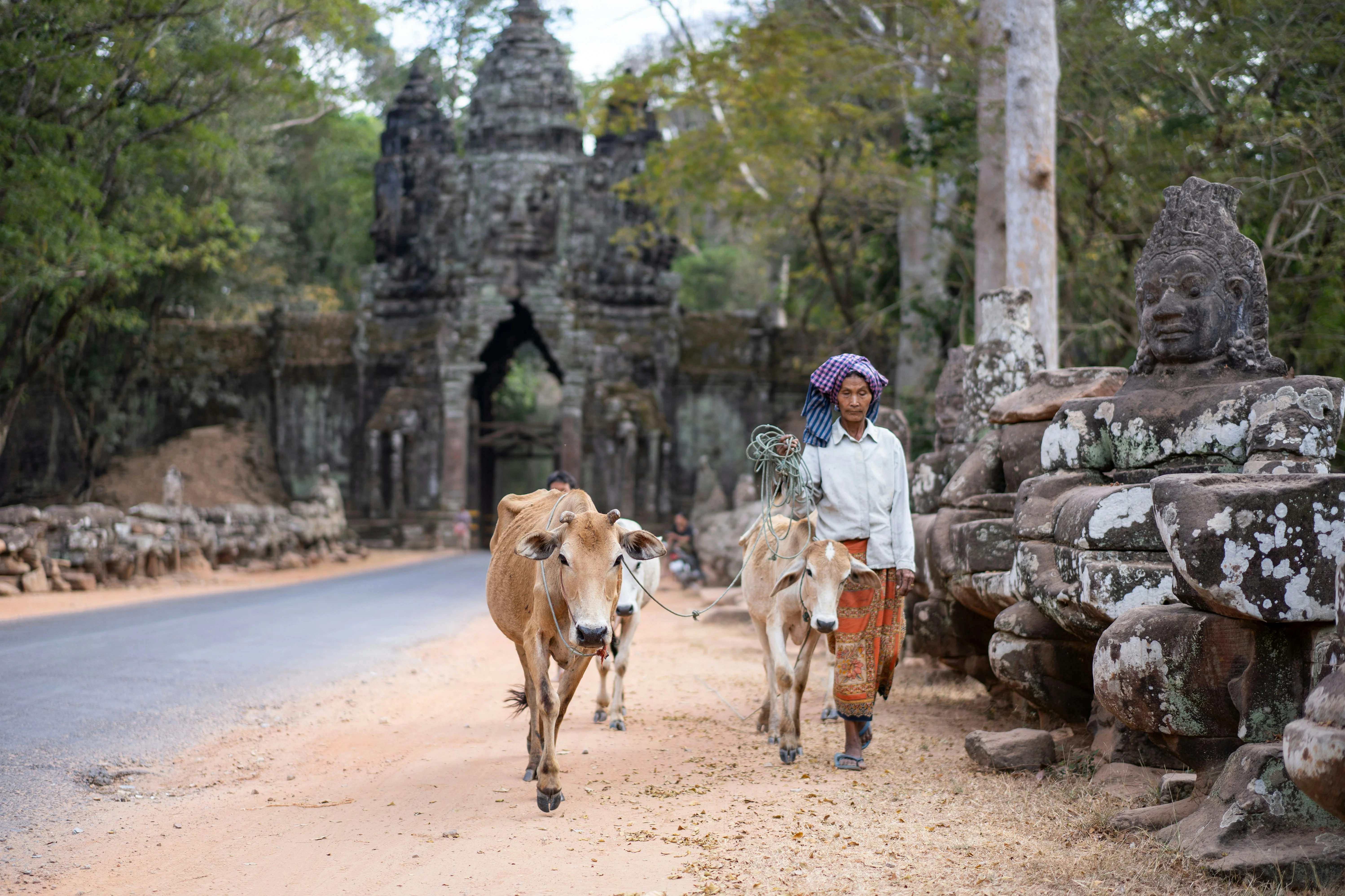 The Ultimate Backpacker's Guide to Siem Reap: Beyond the Temples Image 2